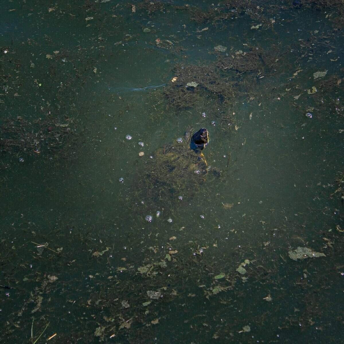 What Are The Health Risks Of Contaminated Well Water?