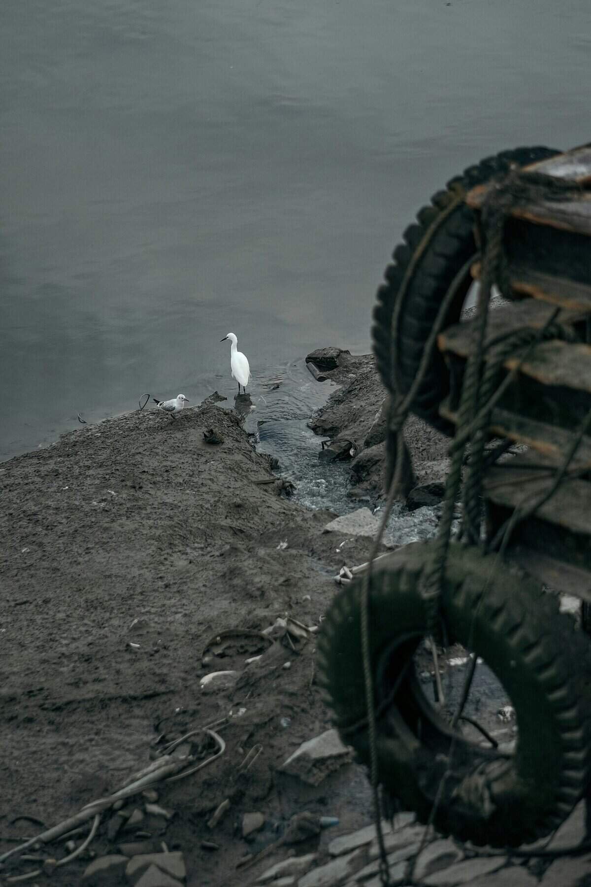 What Are The Signs Of Well Water Contamination? What Are The Signs Of Well Water Contamination?