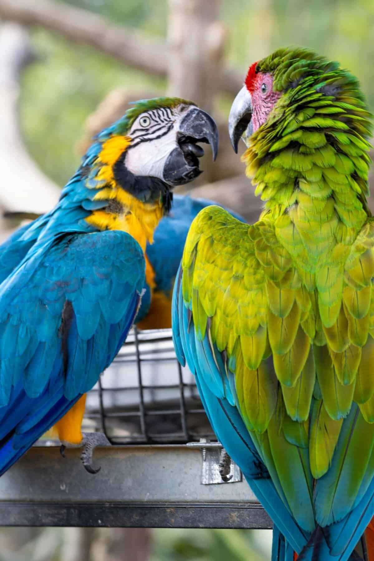 What Resources Detail The Impact Of Climate Change On Groundwater? What Resources Detail The Impact Of Climate Change On Groundwater?