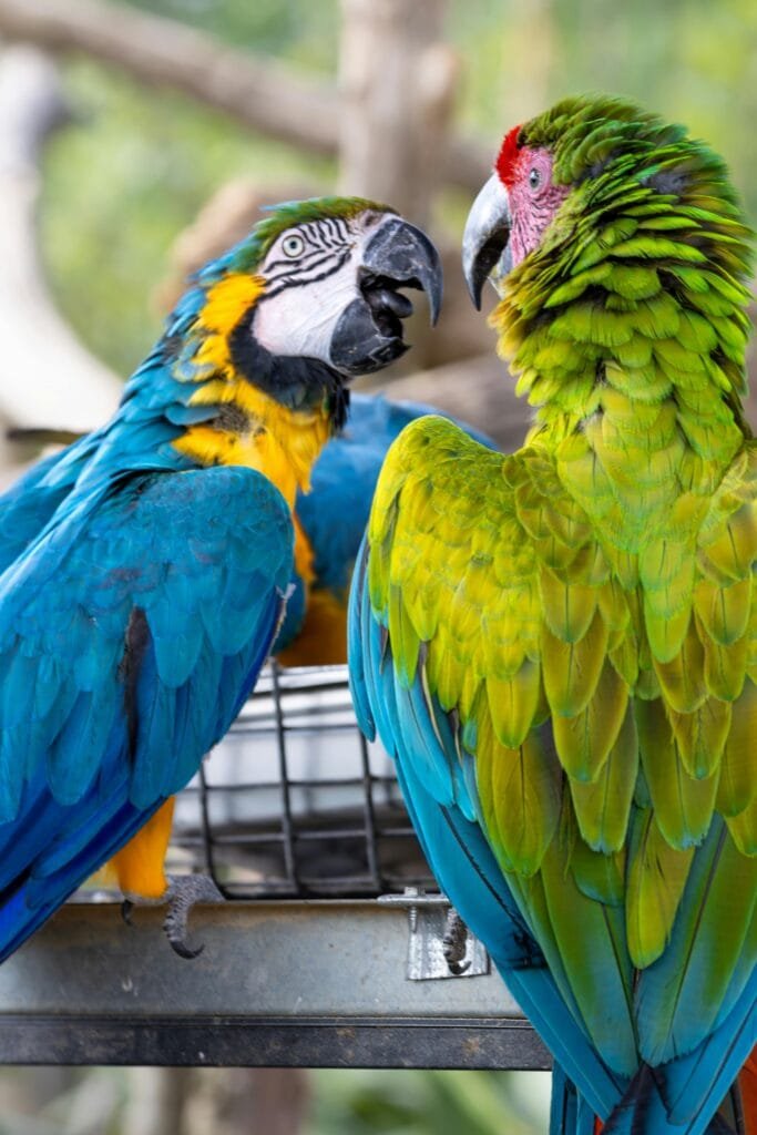 What Resources Detail The Impact Of Climate Change On Groundwater? What Resources Detail The Impact Of Climate Change On Groundwater?