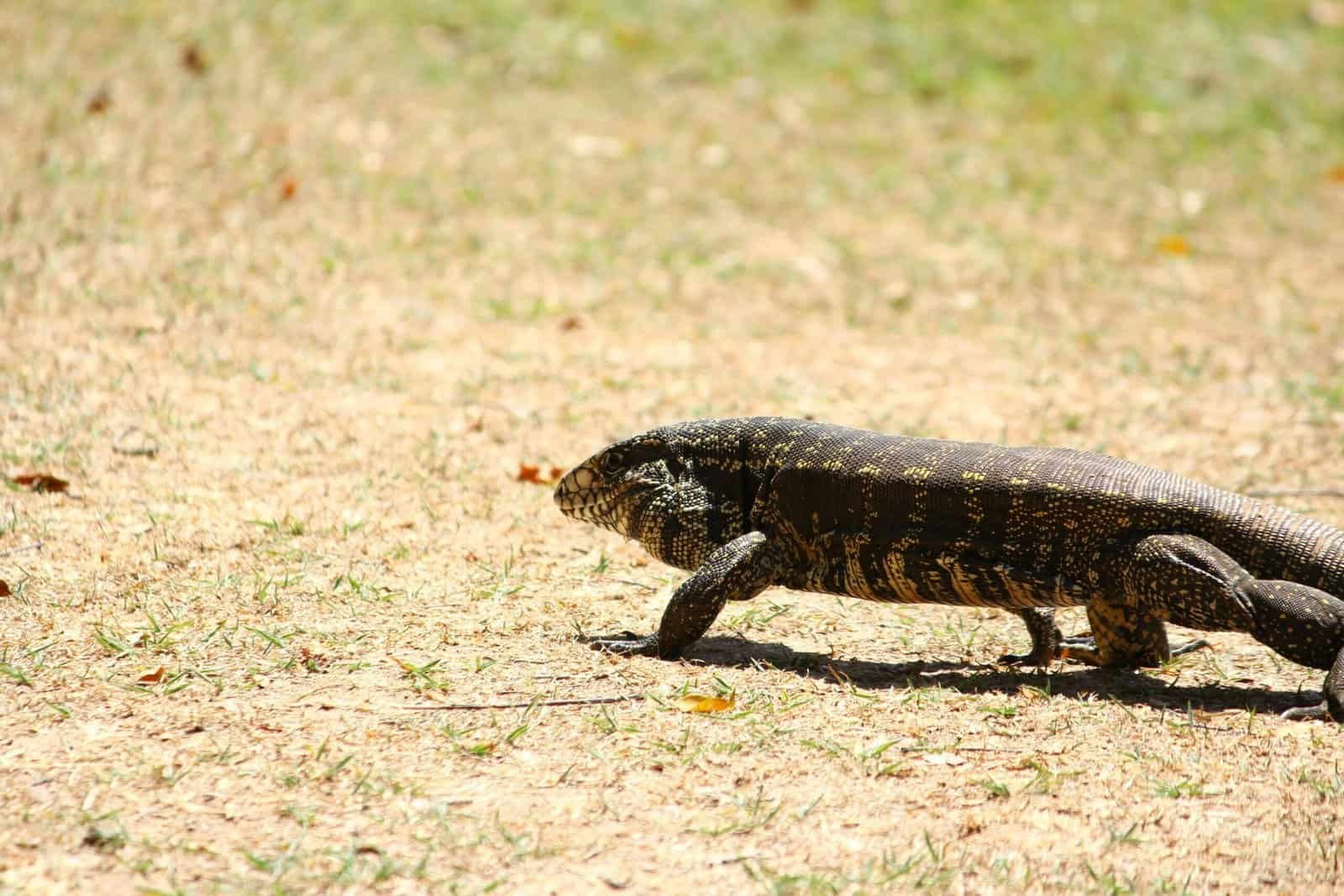 What Websites Provide Real-time Groundwater Level Data? What Websites Provide Real-time Groundwater Level Data?