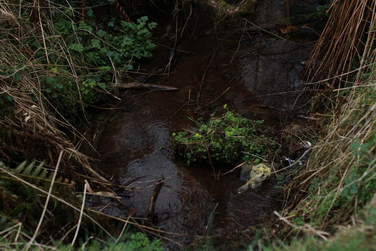 Where Can I Find Case Studies On Well Contamination Incidents? Where Can I Find Case Studies On Well Contamination Incidents?