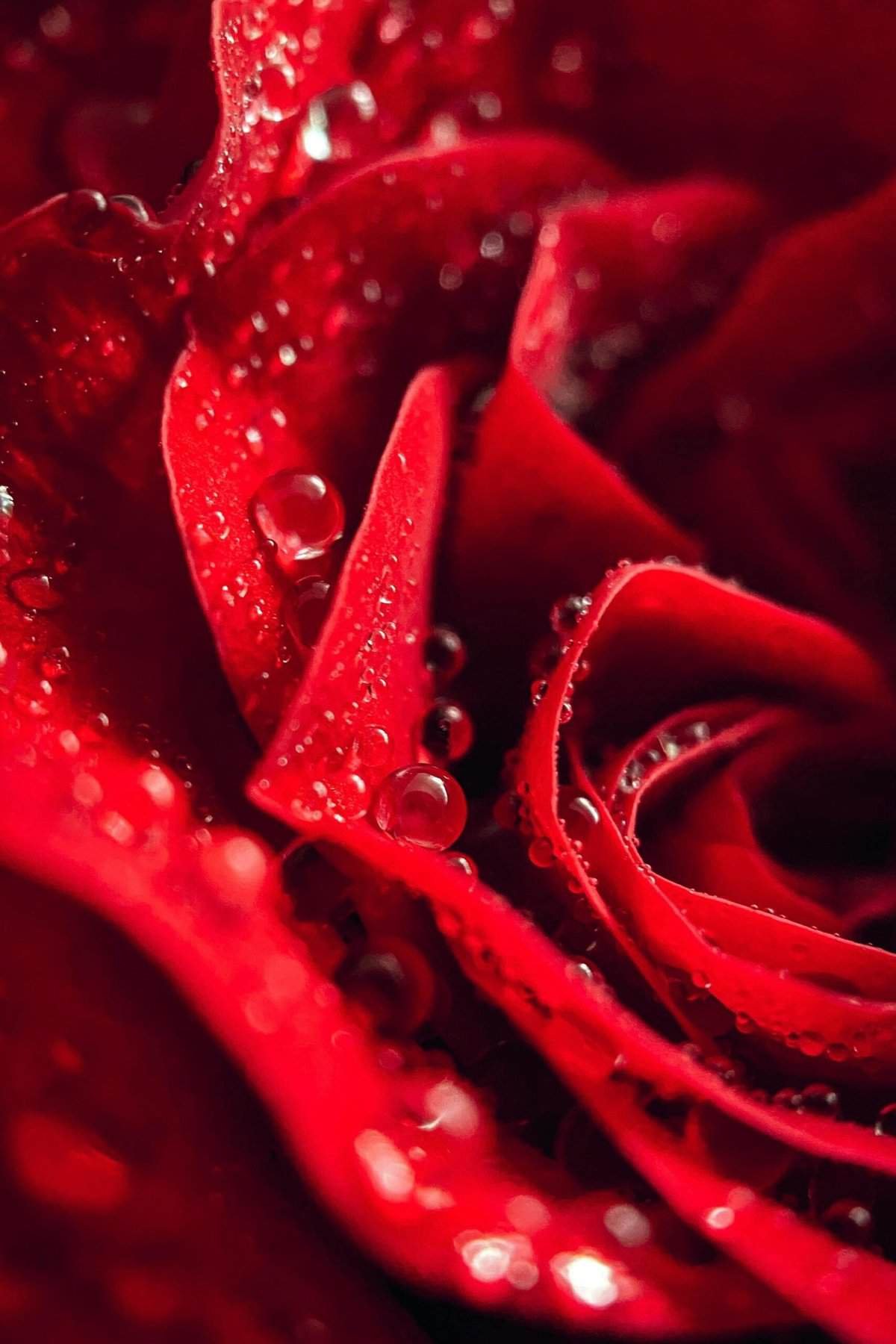 Can I Share A Water Well With My Neighbors? Can I Share A Water Well With My Neighbors?