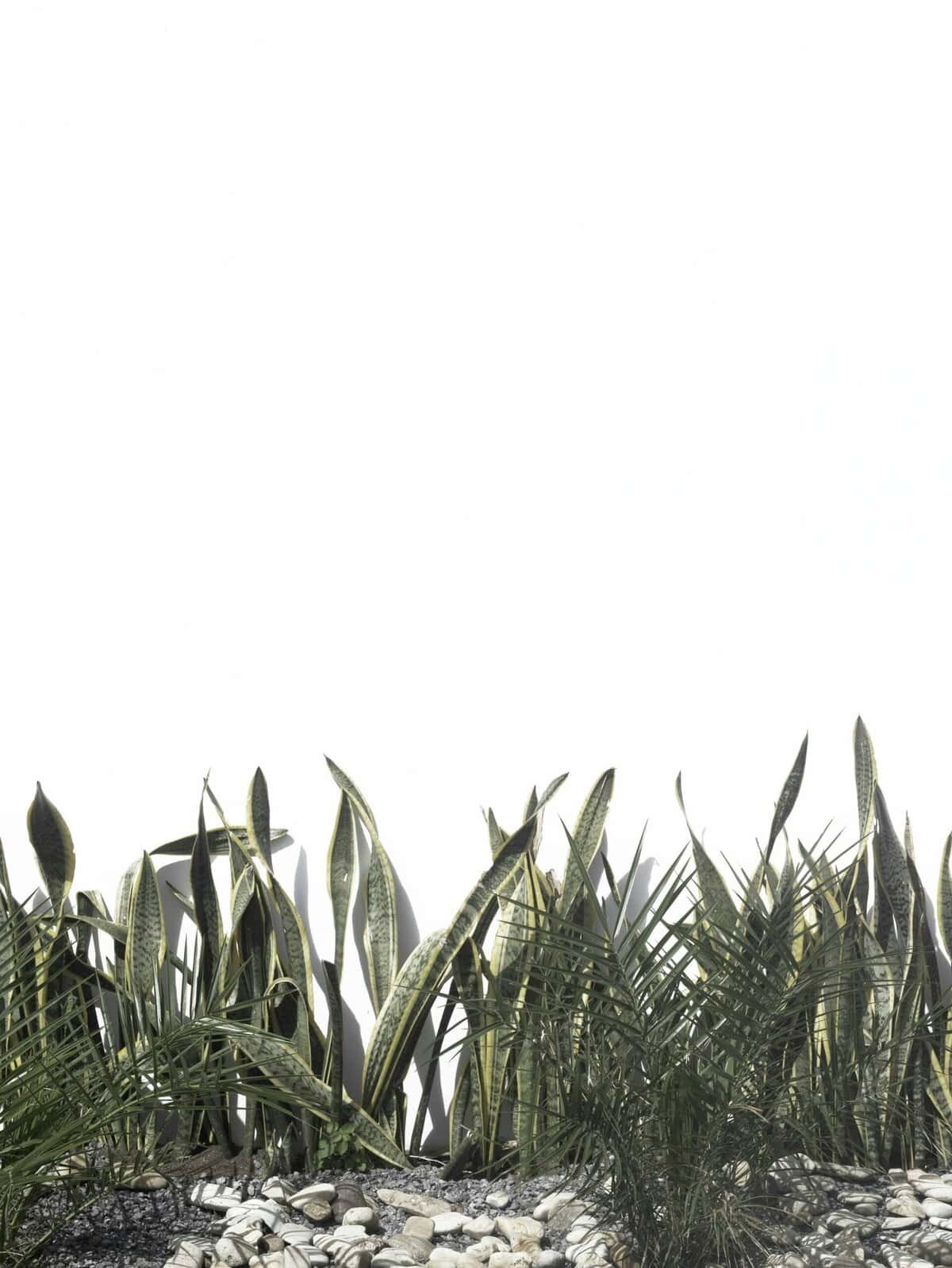 Can Nearby Agriculture Impact My Well Water Safety?