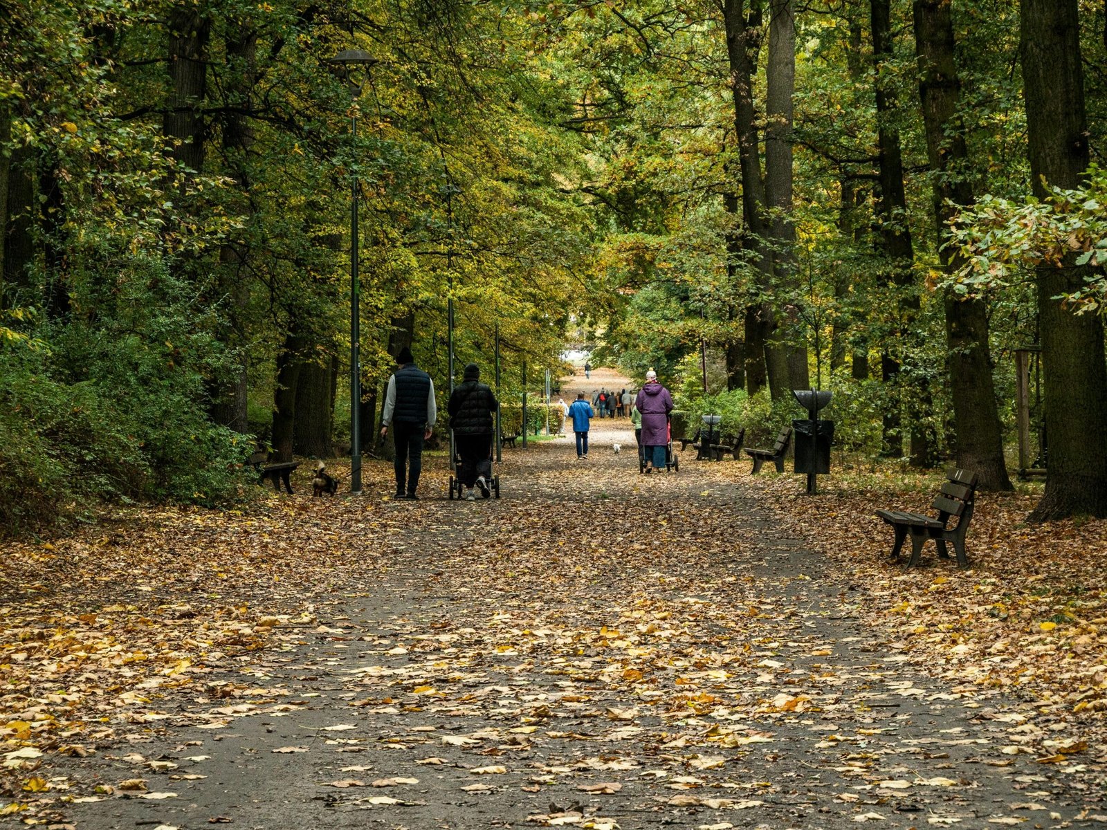 Can Tree Roots Damage The Safety Of My Well? Can Tree Roots Damage The Safety Of My Well?