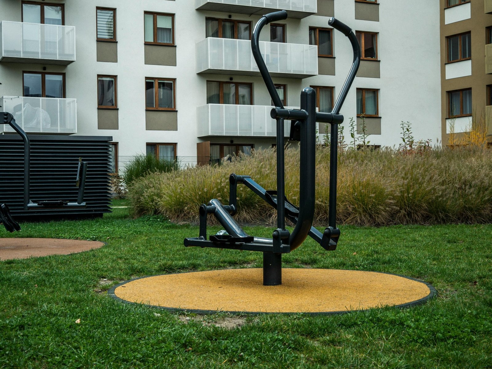 Can Tree Roots Damage The Safety Of My Well? Can Tree Roots Damage The Safety Of My Well?