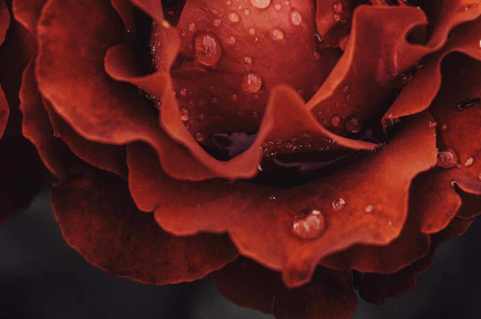 How Can I Improve The Taste Of My Well Water?