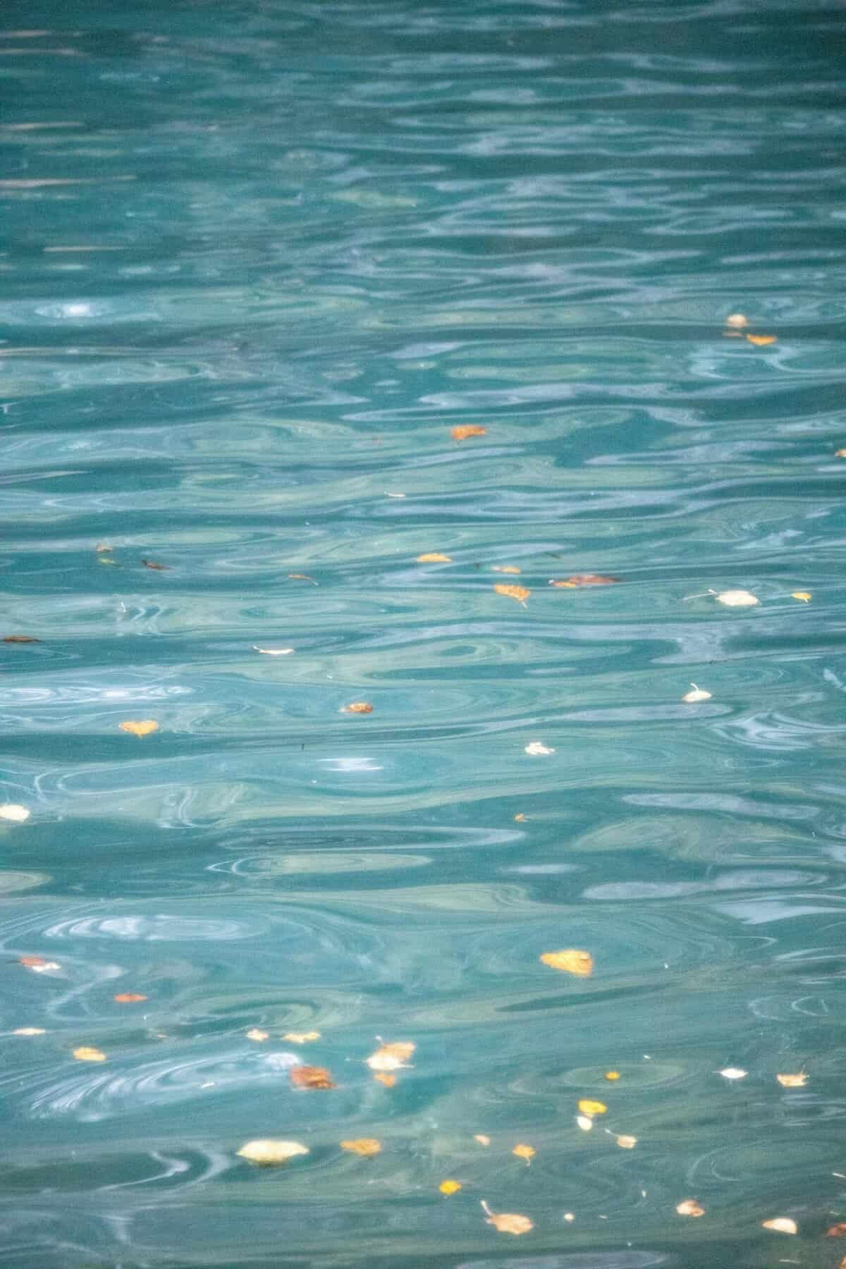 How Do I Know If My Well Water Is Safe To Drink? How Do I Know If My Well Water Is Safe To Drink?