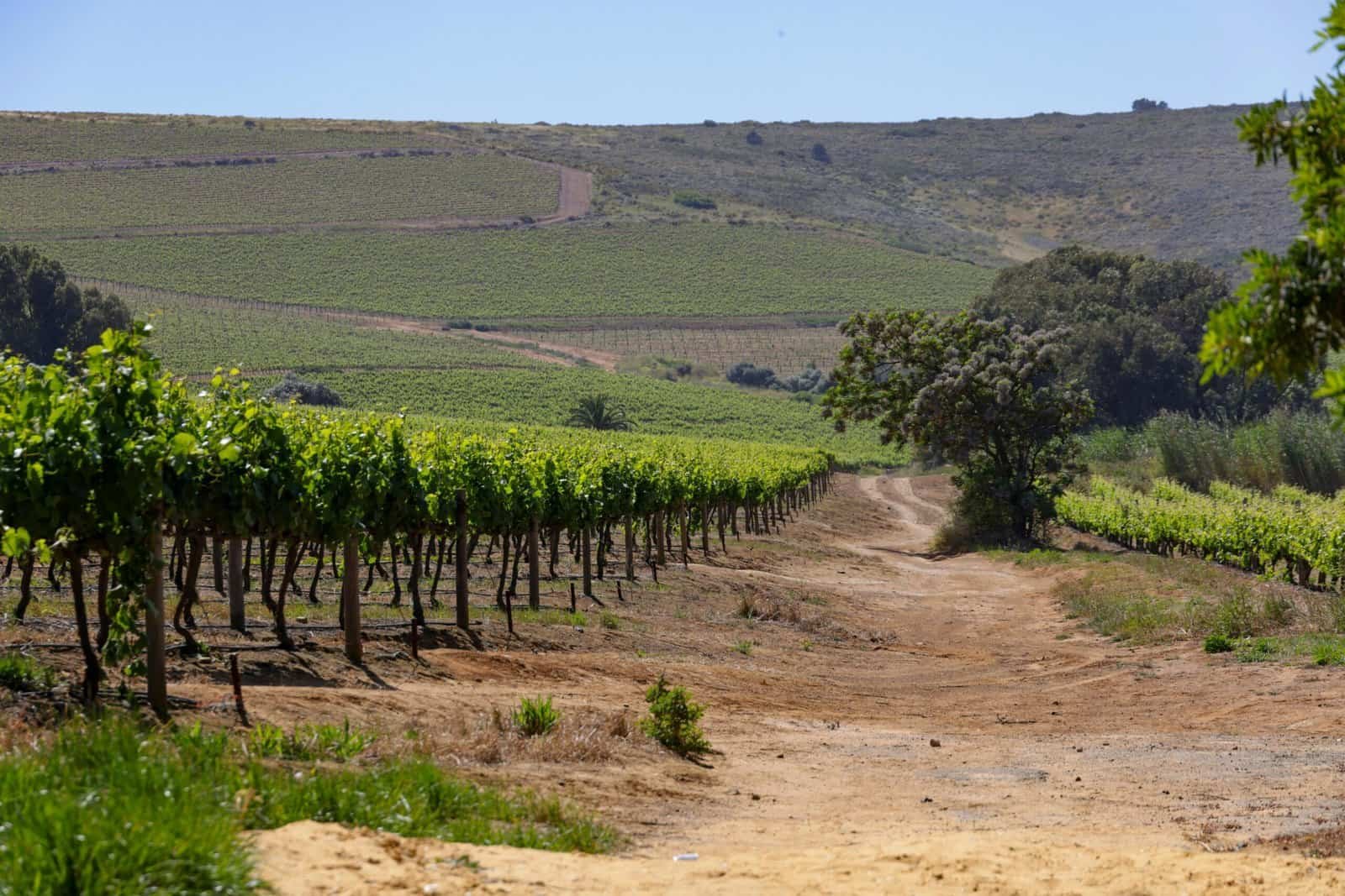 How Do I Prevent Fertilizer Runoff From Reaching My Well? How Do I Prevent Fertilizer Runoff From Reaching My Well?