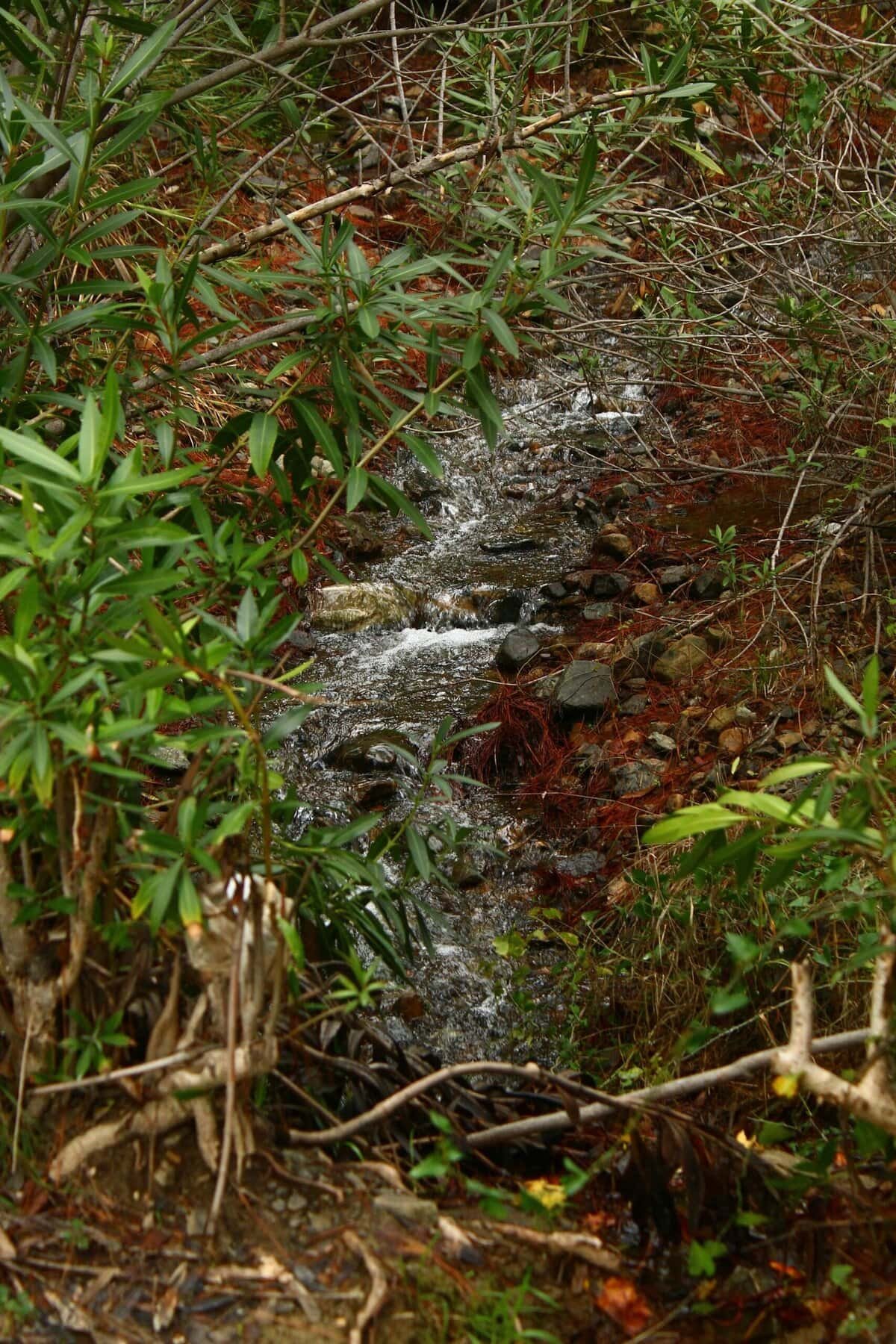 How Do I Prevent Fuel Spills From Entering My Well? How Do I Prevent Fuel Spills From Entering My Well?