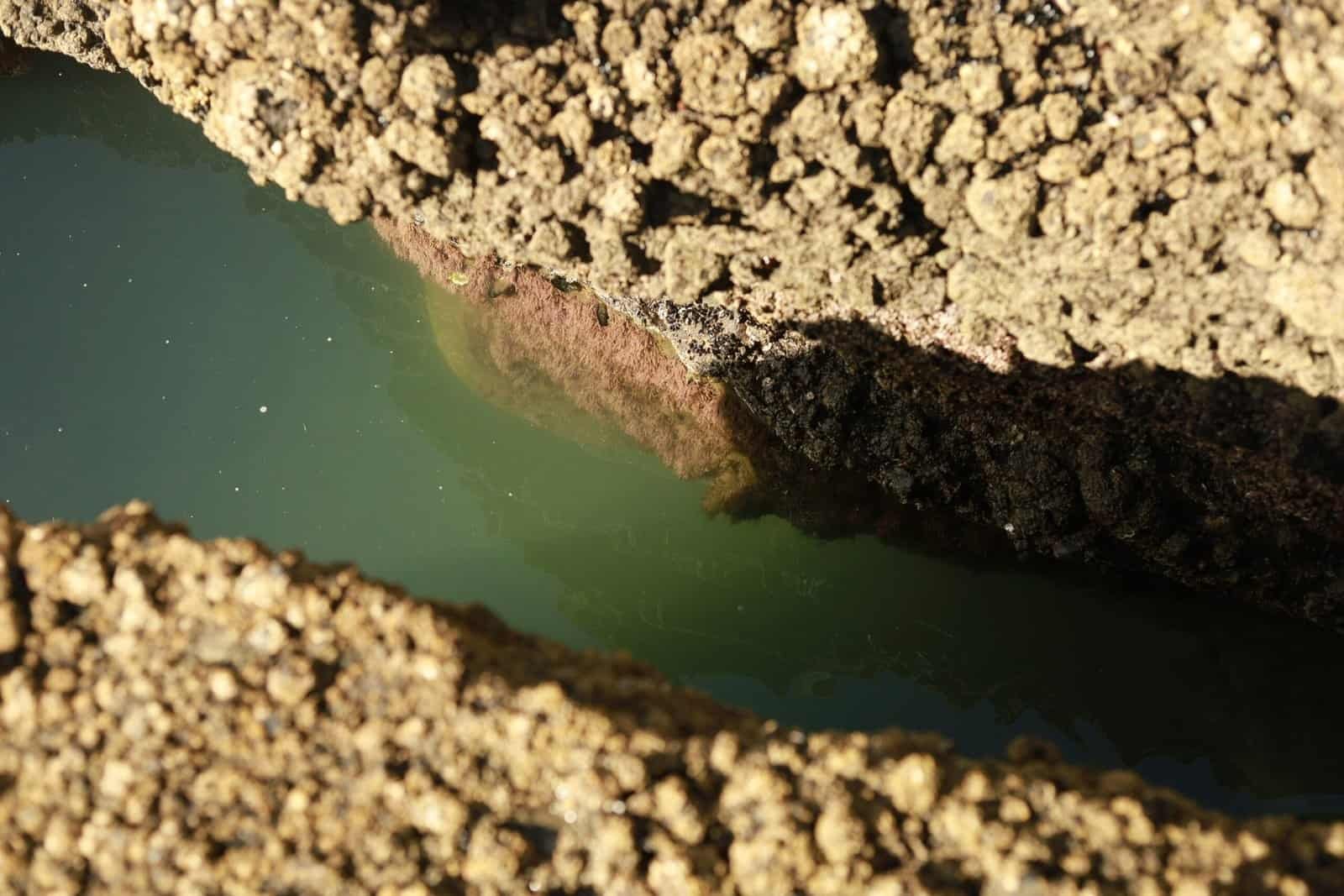 How Do I Prevent Fuel Spills From Entering My Well? How Do I Prevent Fuel Spills From Entering My Well?