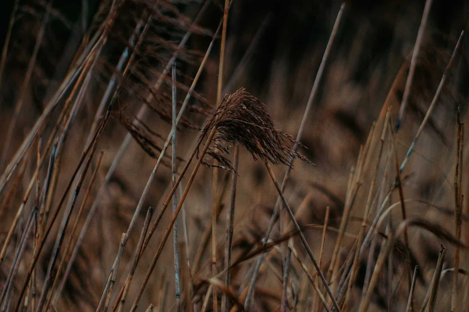 How Do I Protect My Well From Surface Runoff?