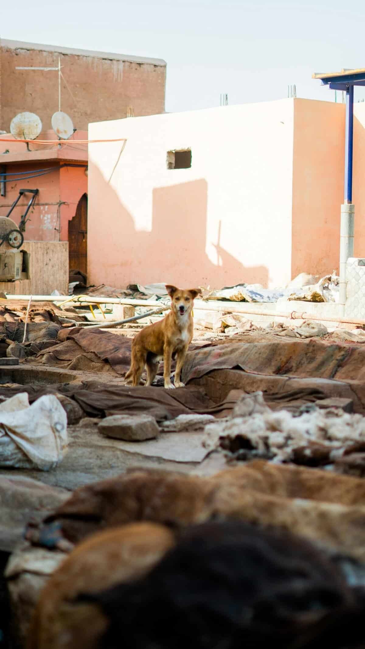 How Do I Safely Seal An Abandoned Water Well? How Do I Safely Seal An Abandoned Water Well?