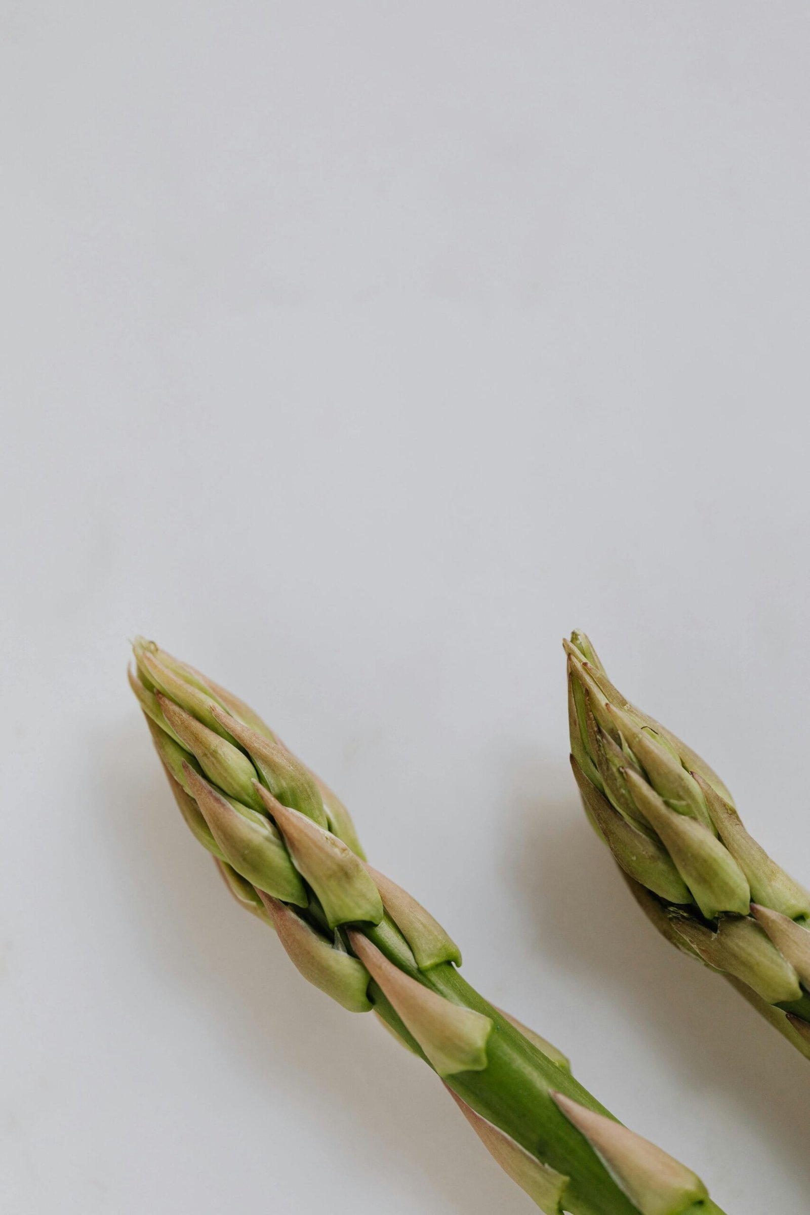 How Do Residential Water Wells Work?