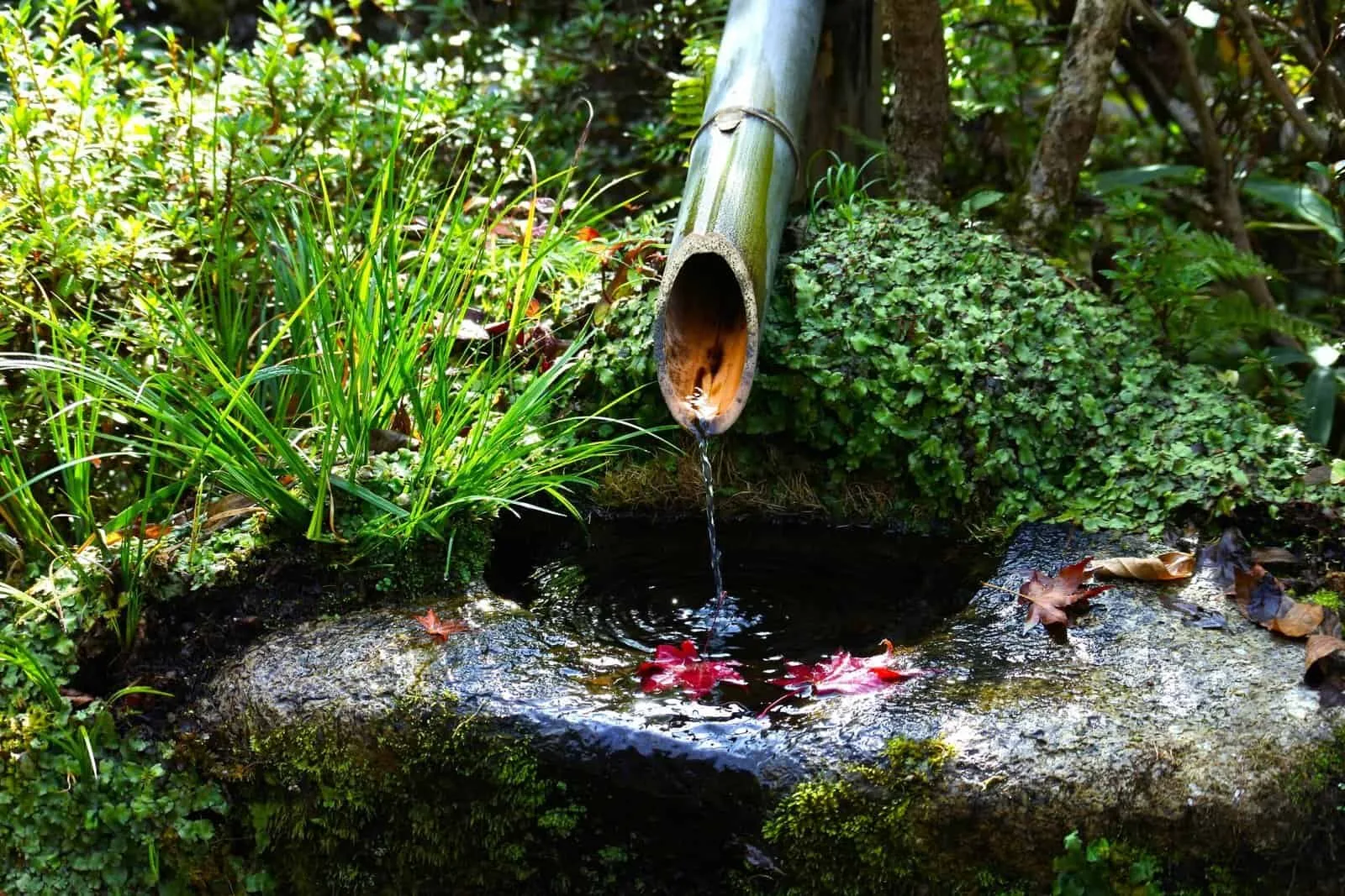 How Often Should A Water Well Be Inspected? How Often Should A Water Well Be Inspected?