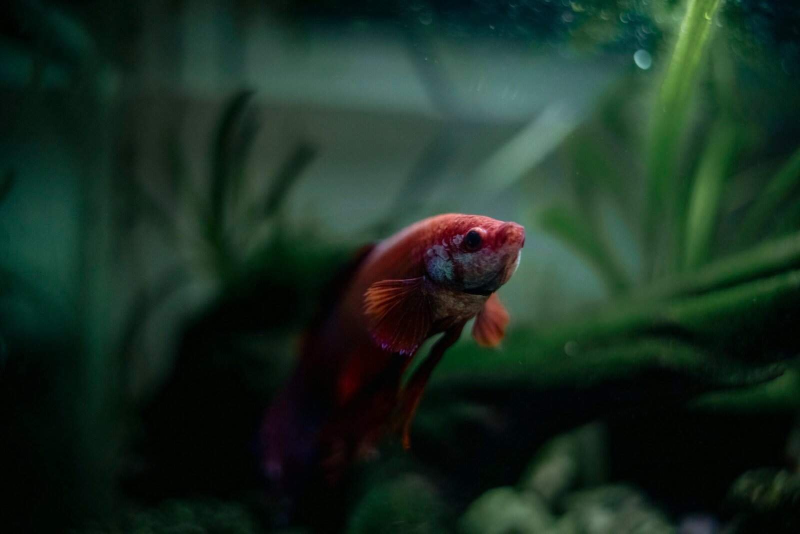 What Are Signs Of Well Water Contamination? What Are Signs Of Well Water Contamination?