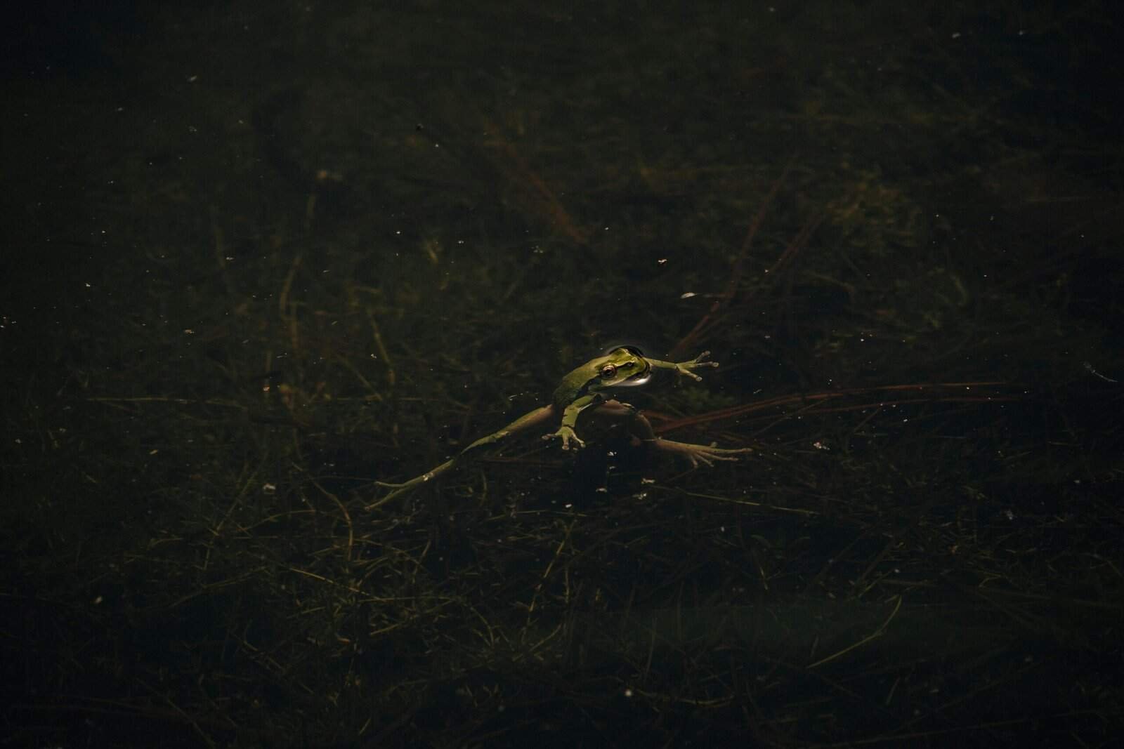 What Are Signs Of Well Water Contamination? What Are Signs Of Well Water Contamination?