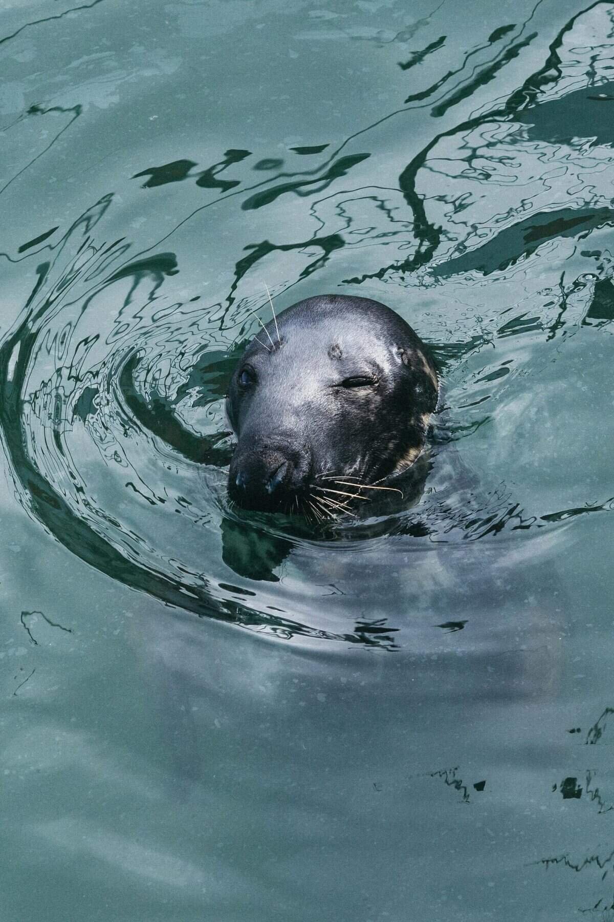 What Are The Risks Of Shallow Water Wells? What Are The Risks Of Shallow Water Wells?