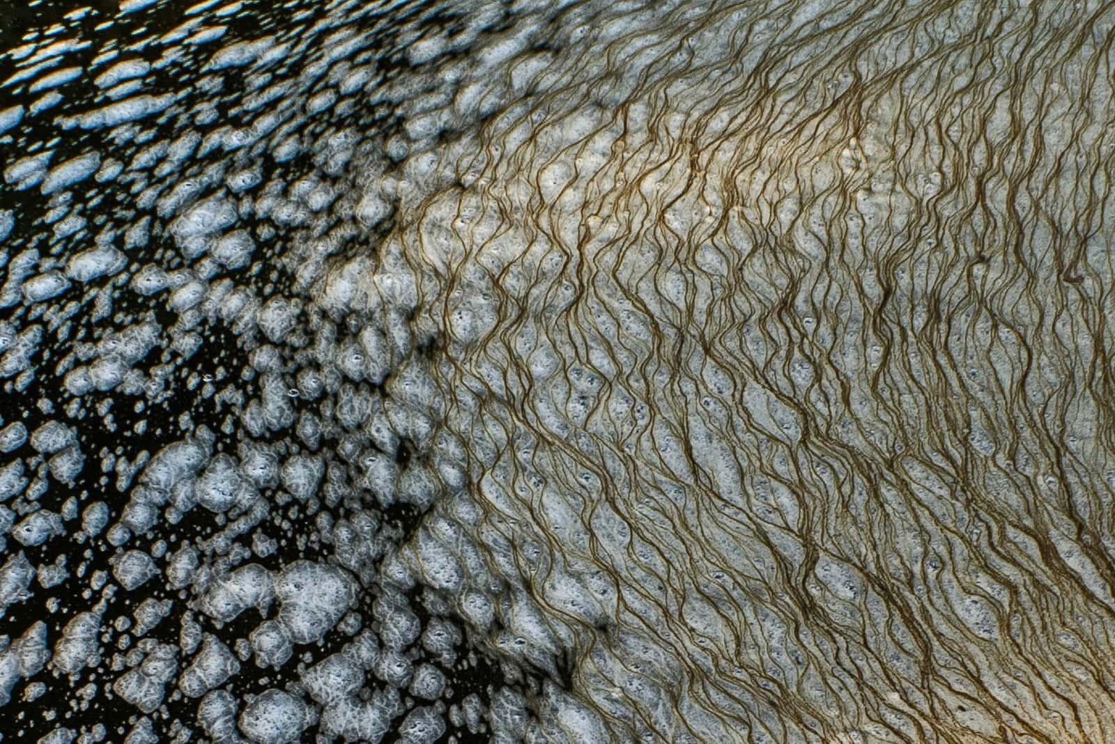 What Emergency Steps Should I Take If My Well Is Contaminated? What Emergency Steps Should I Take If My Well Is Contaminated?