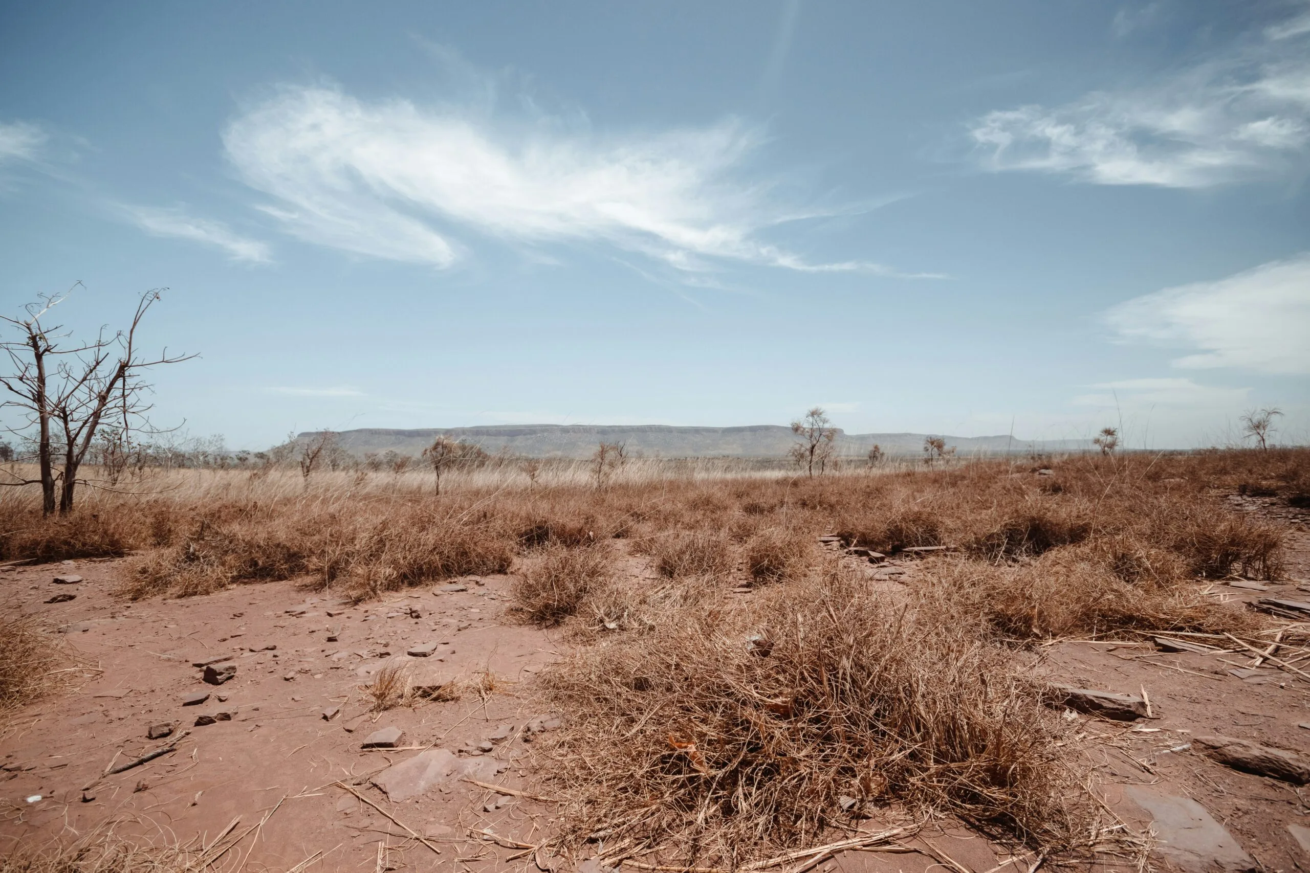 What Should I Do If My Well Runs Dry?