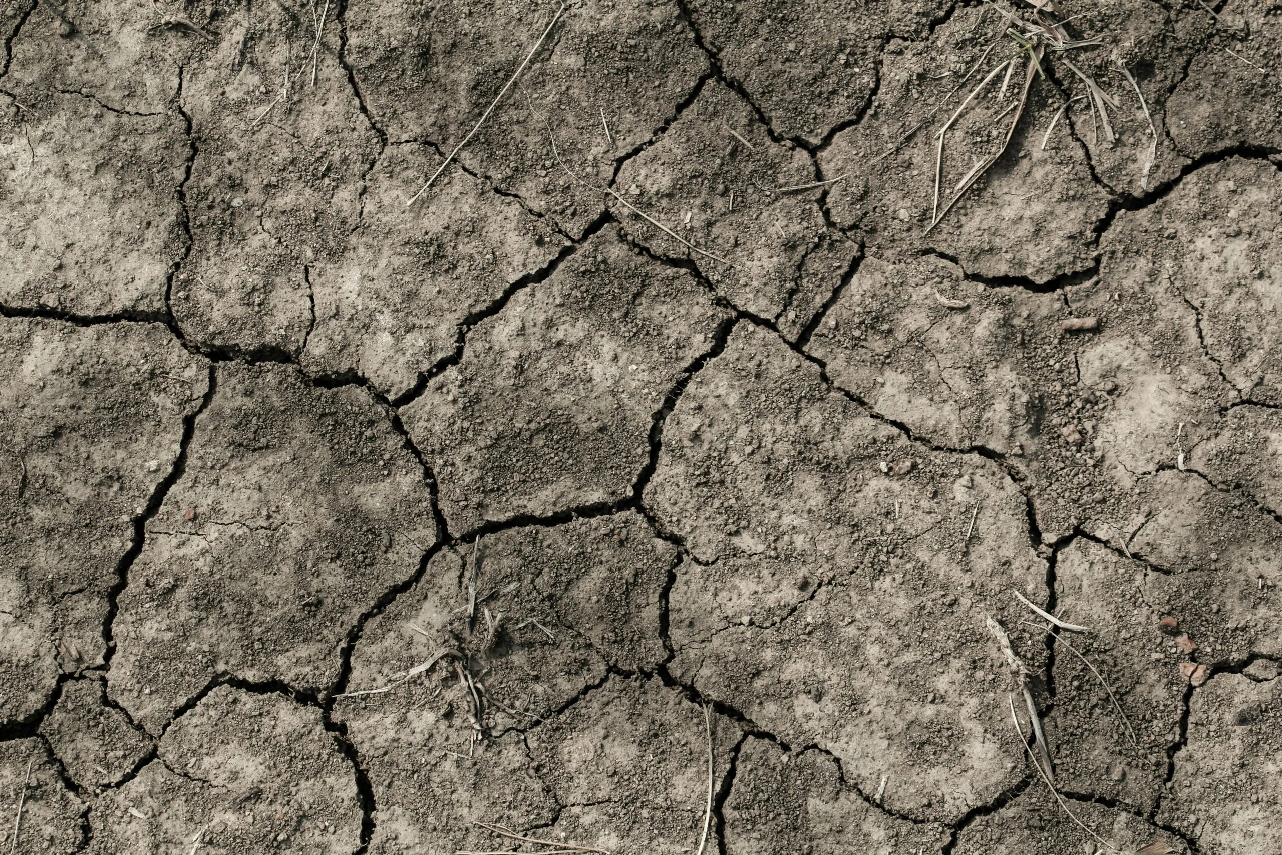 What Should I Do If My Well Runs Dry?