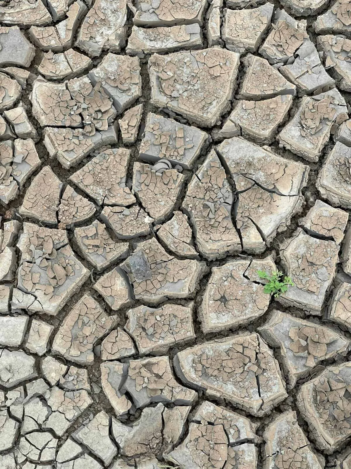 What Should I Do If My Well Runs Dry?