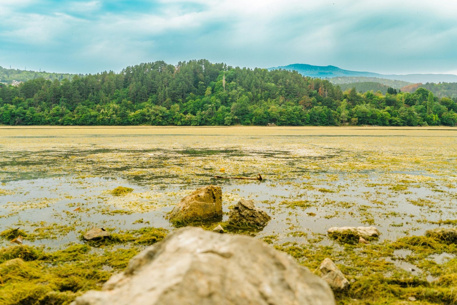 What Should I Do If My Well Water Turns Cloudy? What Should I Do If My Well Water Turns Cloudy?
