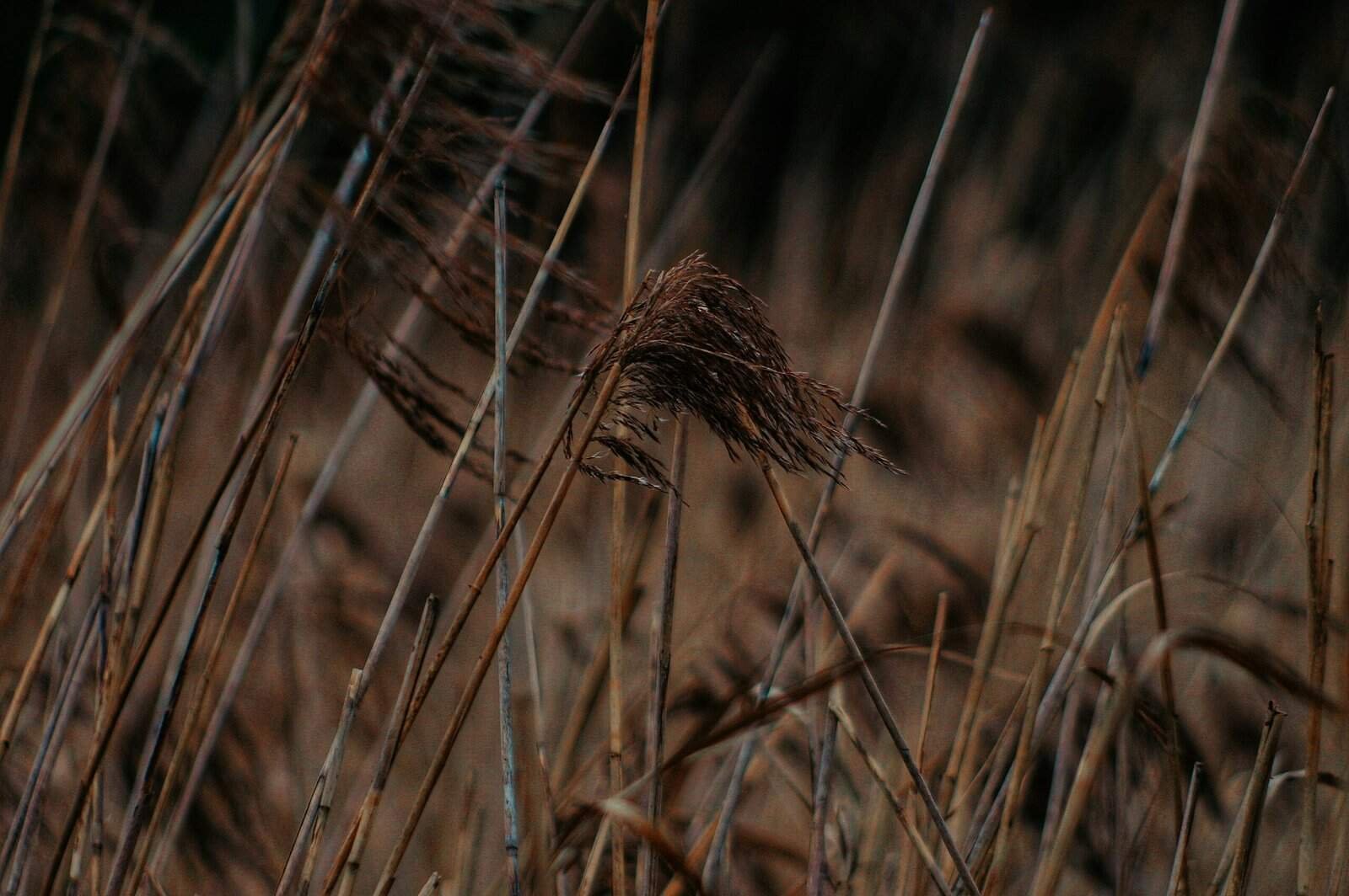 What’s The Best Way To Protect My Wellhead?