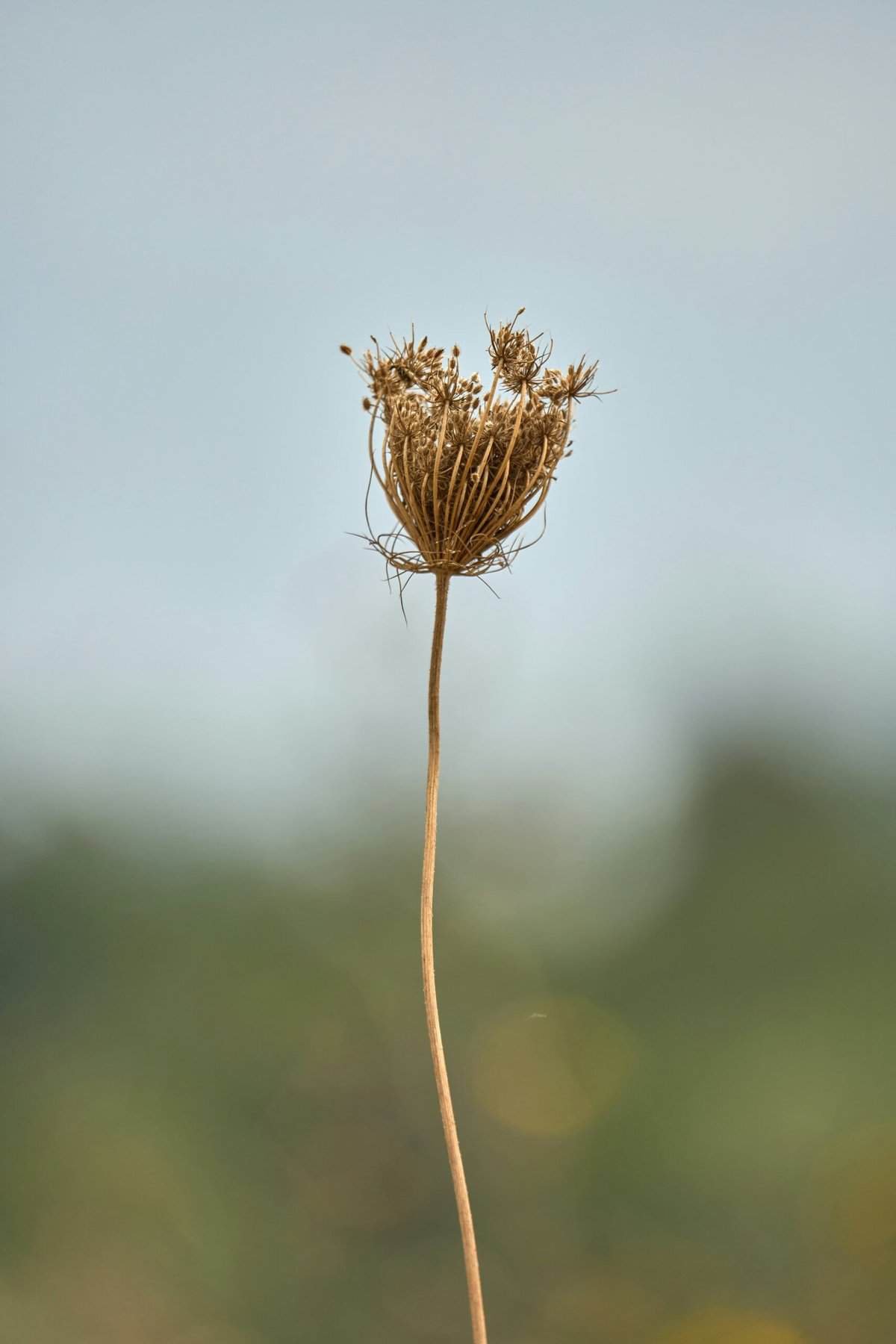 What’s The Best Way To Protect My Wellhead?