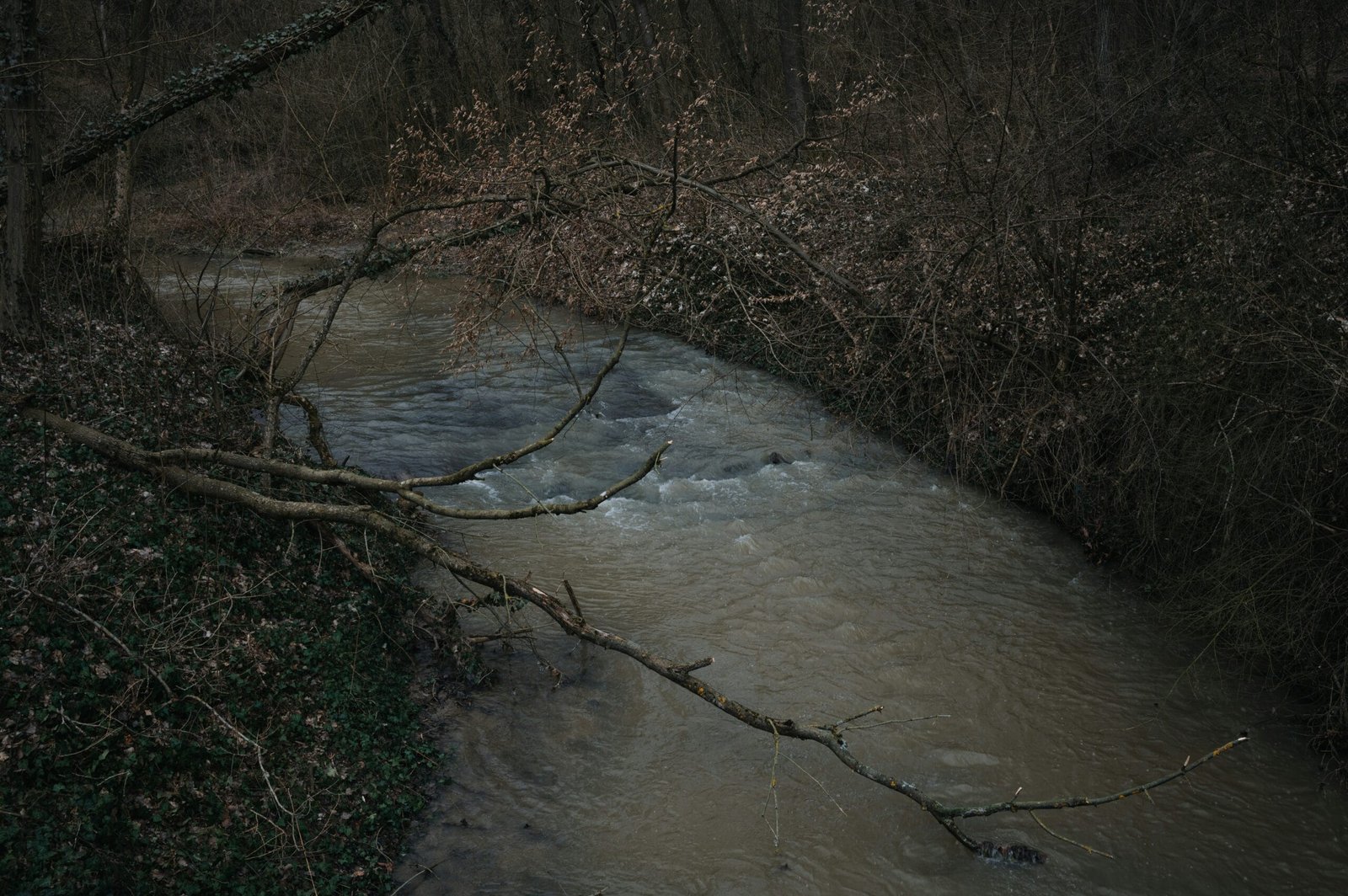 Can A Septic System Contaminate My Well?