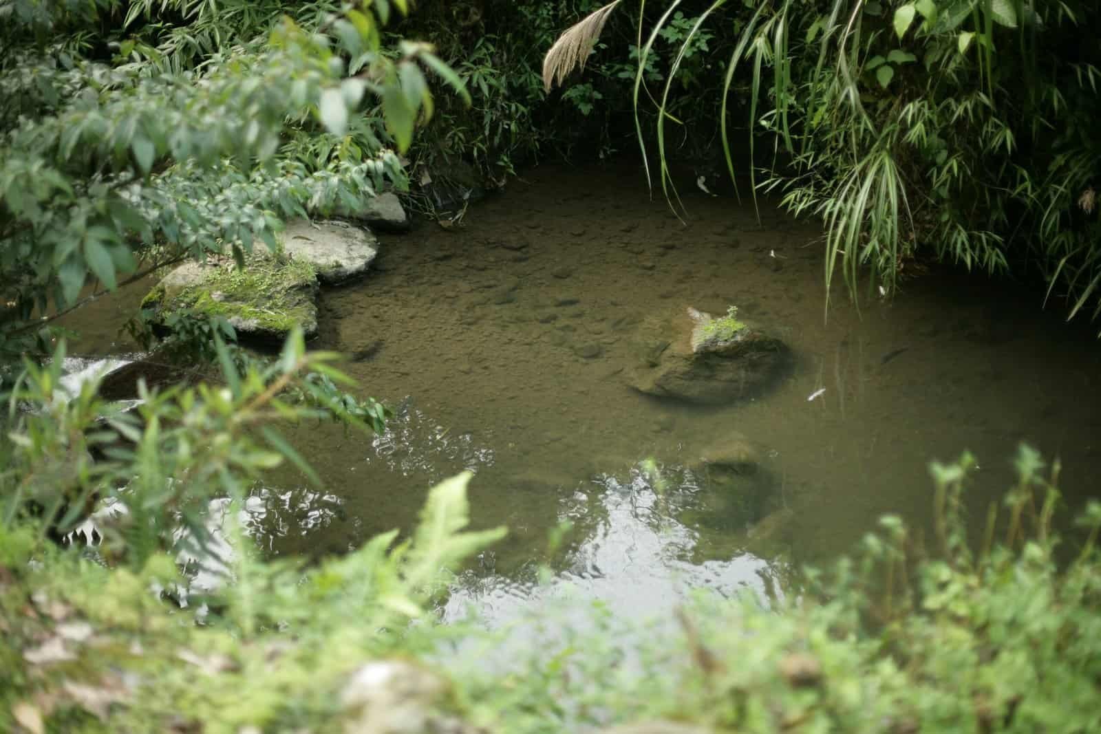 Can A Septic System Contaminate My Well?