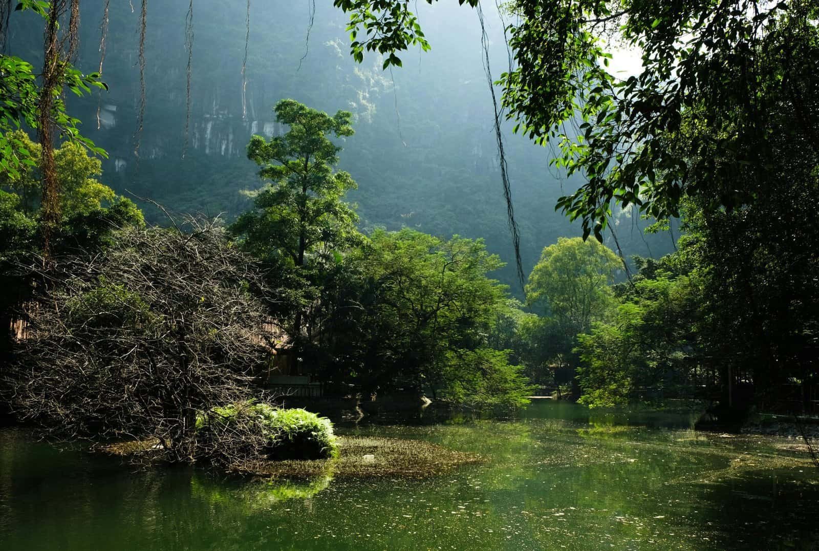 Can I Install A Water Filtration System With My Well? Can I Install A Water Filtration System With My Well?