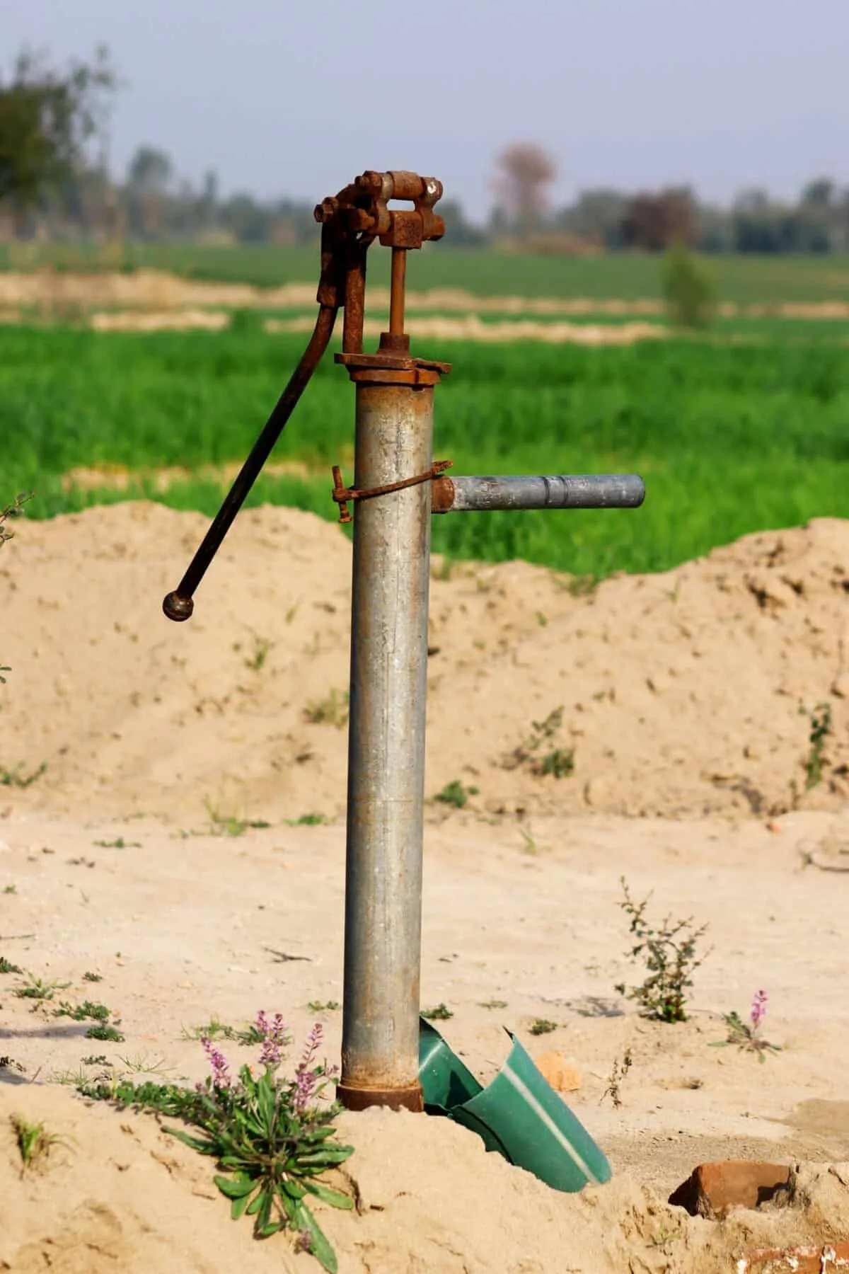 How Can I Protect My Well From Pesticide Contamination? 2026