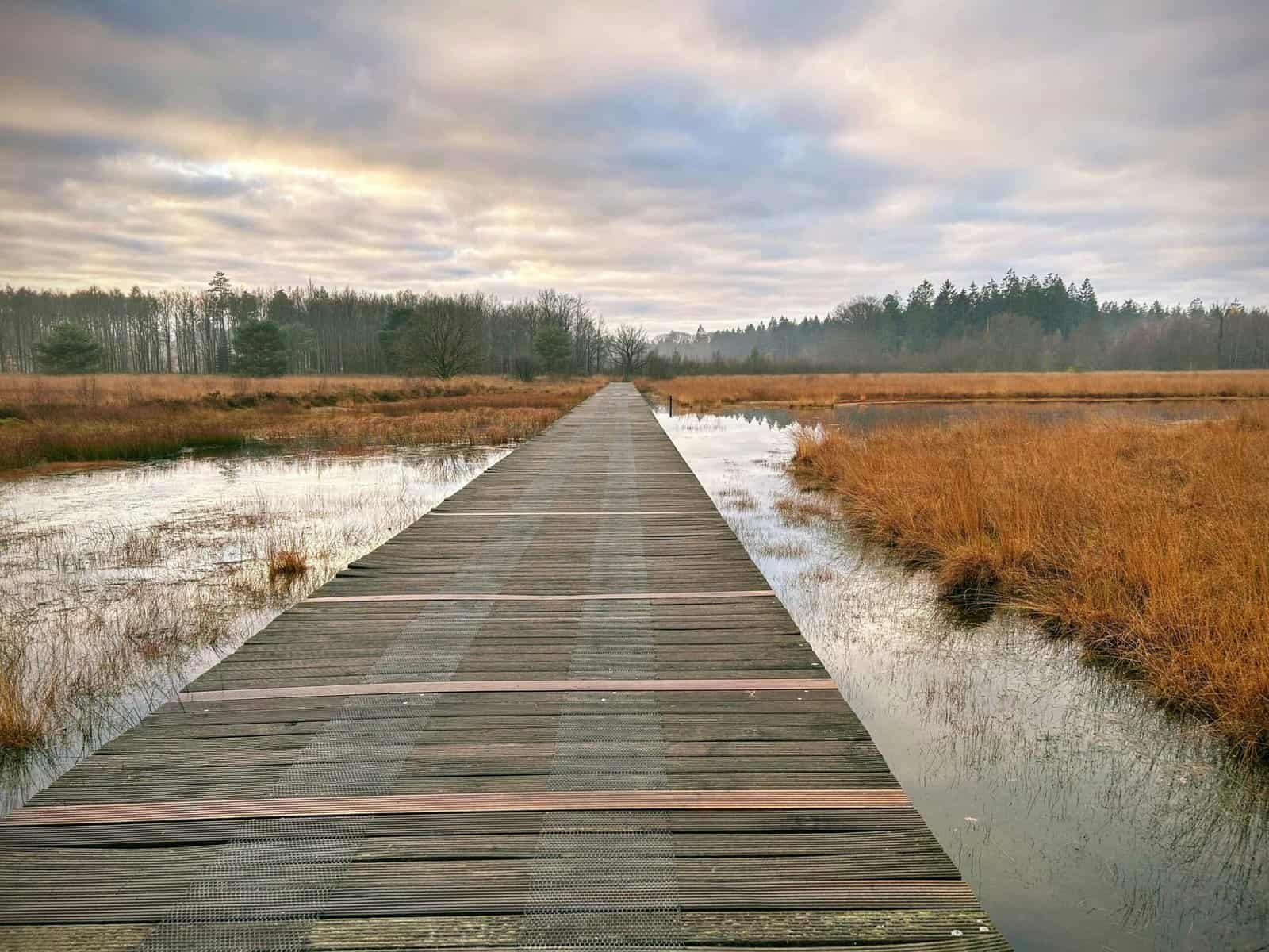 How Do I Disinfect My Well Water? How Do I Disinfect My Well Water?