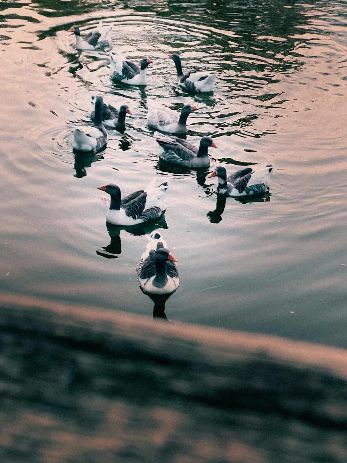 How Do I Know If My Well Cap Is Secure?