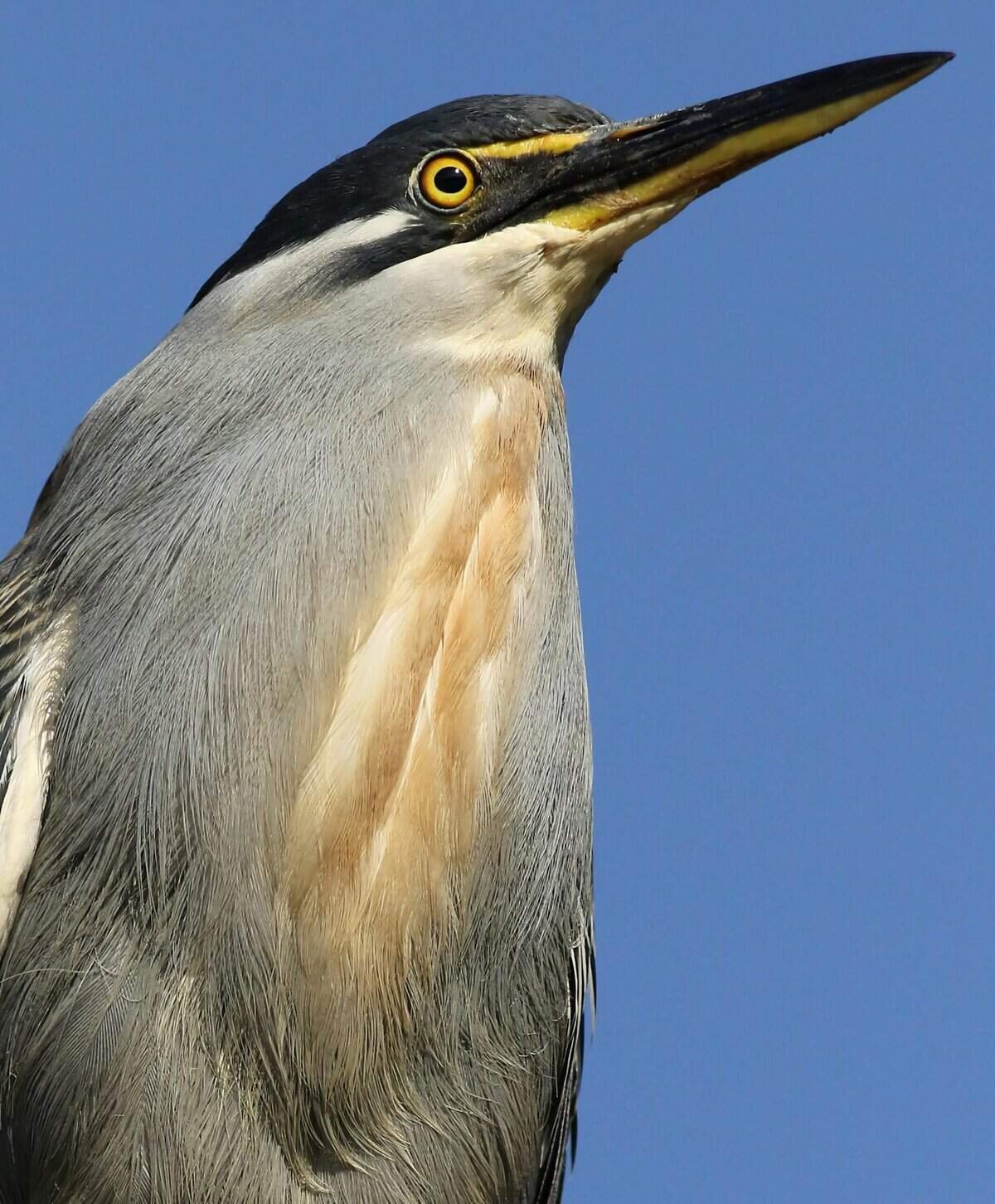 How Do I Monitor Water Quality Between Lab Tests? How Do I Monitor Water Quality Between Lab Tests?