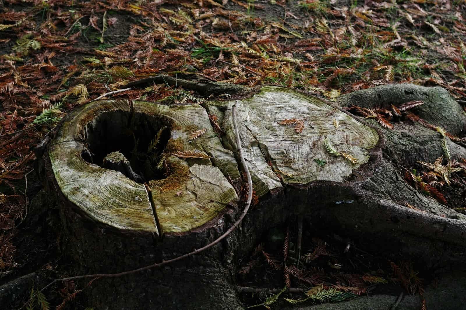 How Do I Safely Seal An Abandoned Water Well?