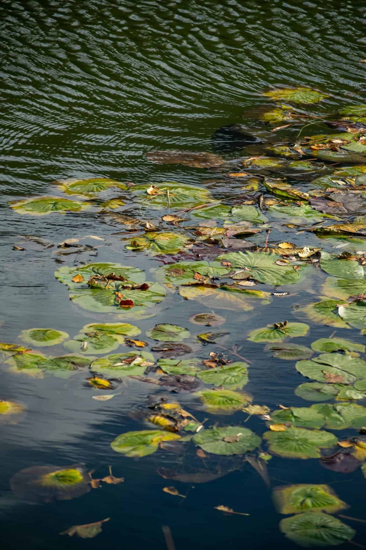 How Long Does A Residential Water Well Last?