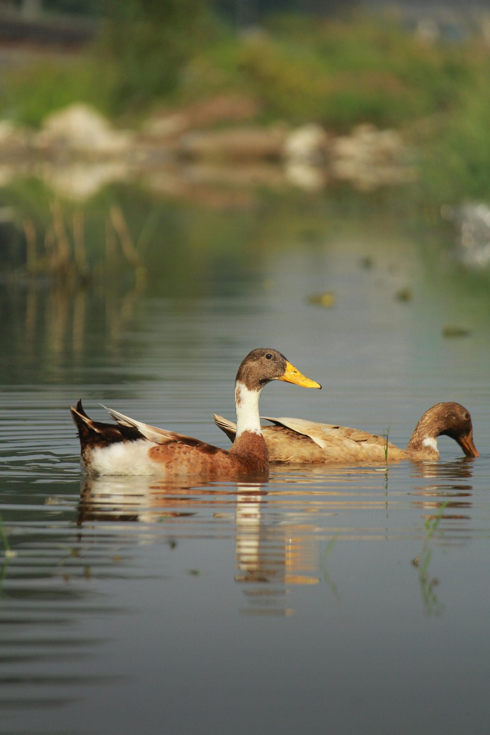 What Are Signs That My Water Well Needs Repair?