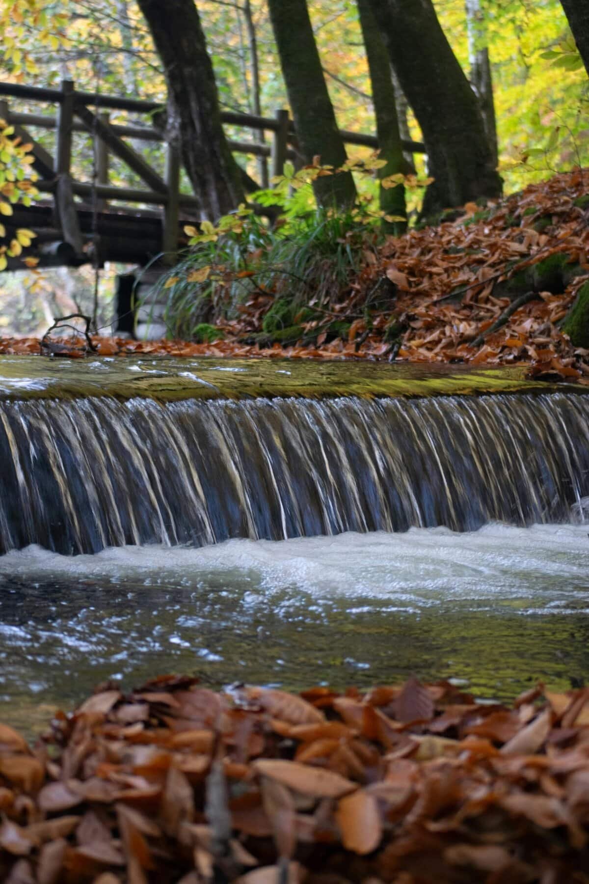 What Are Signs That My Water Well Needs Repair?