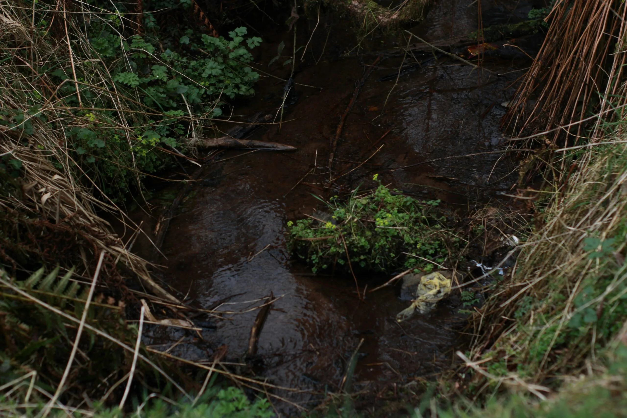 What Are The Most Common Contaminants In Residential Wells?