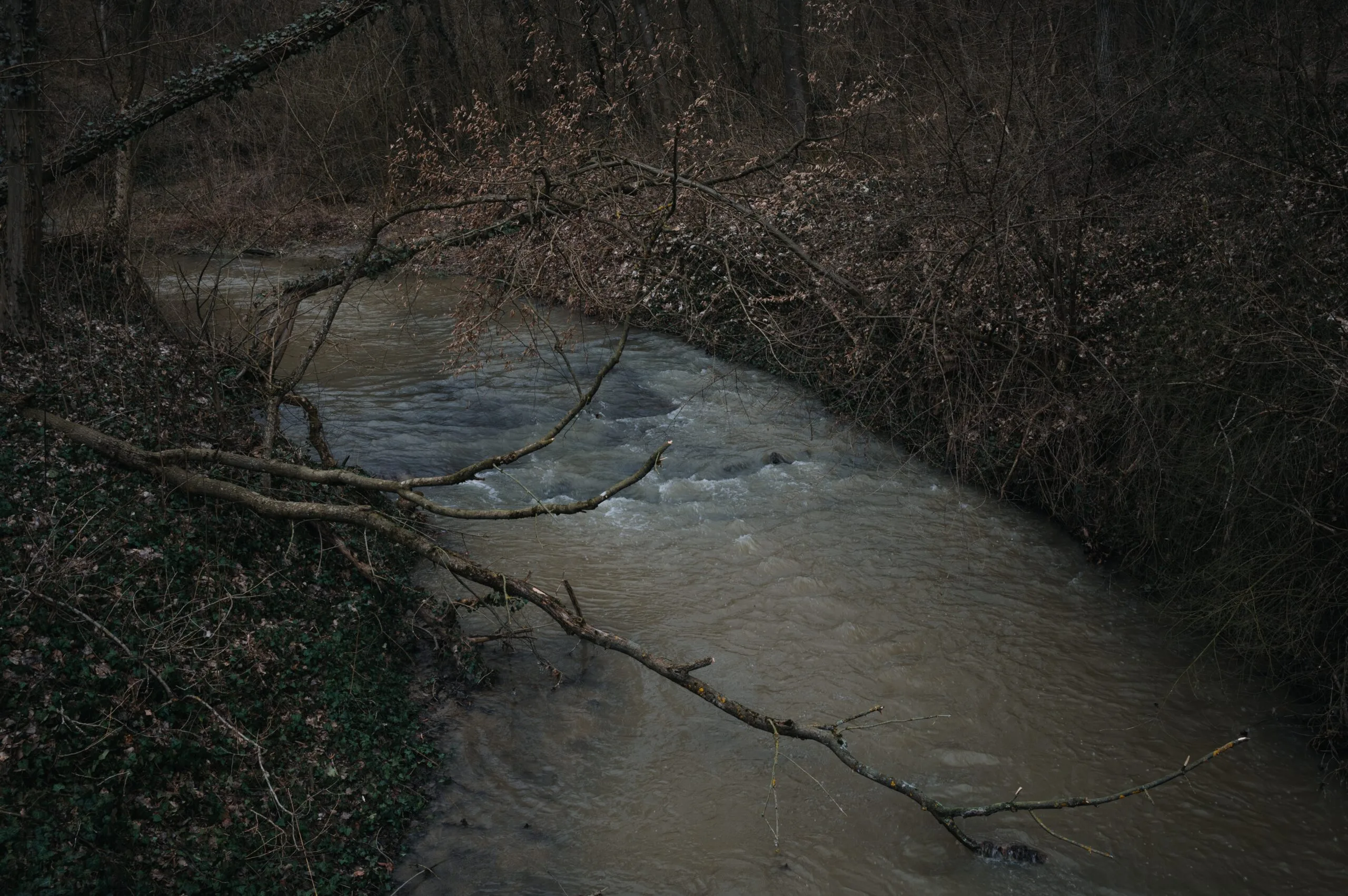 What Are The Most Common Contaminants In Residential Wells?