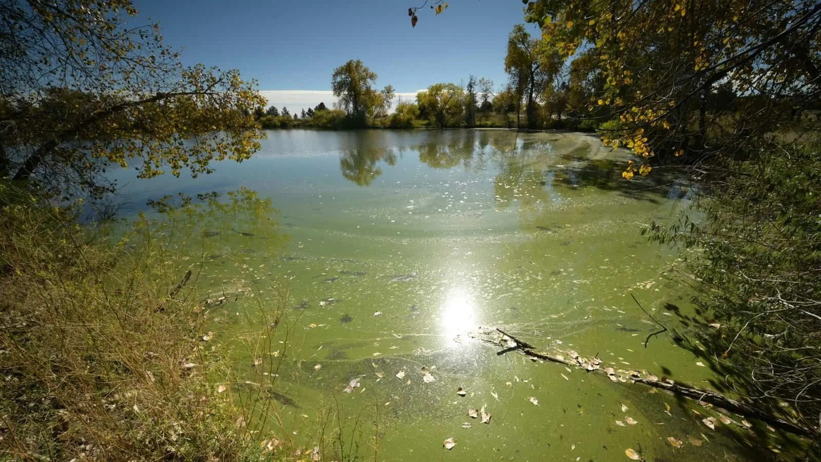 What Are The Risks Of Shallow Water Wells? What Are The Risks Of Shallow Water Wells?