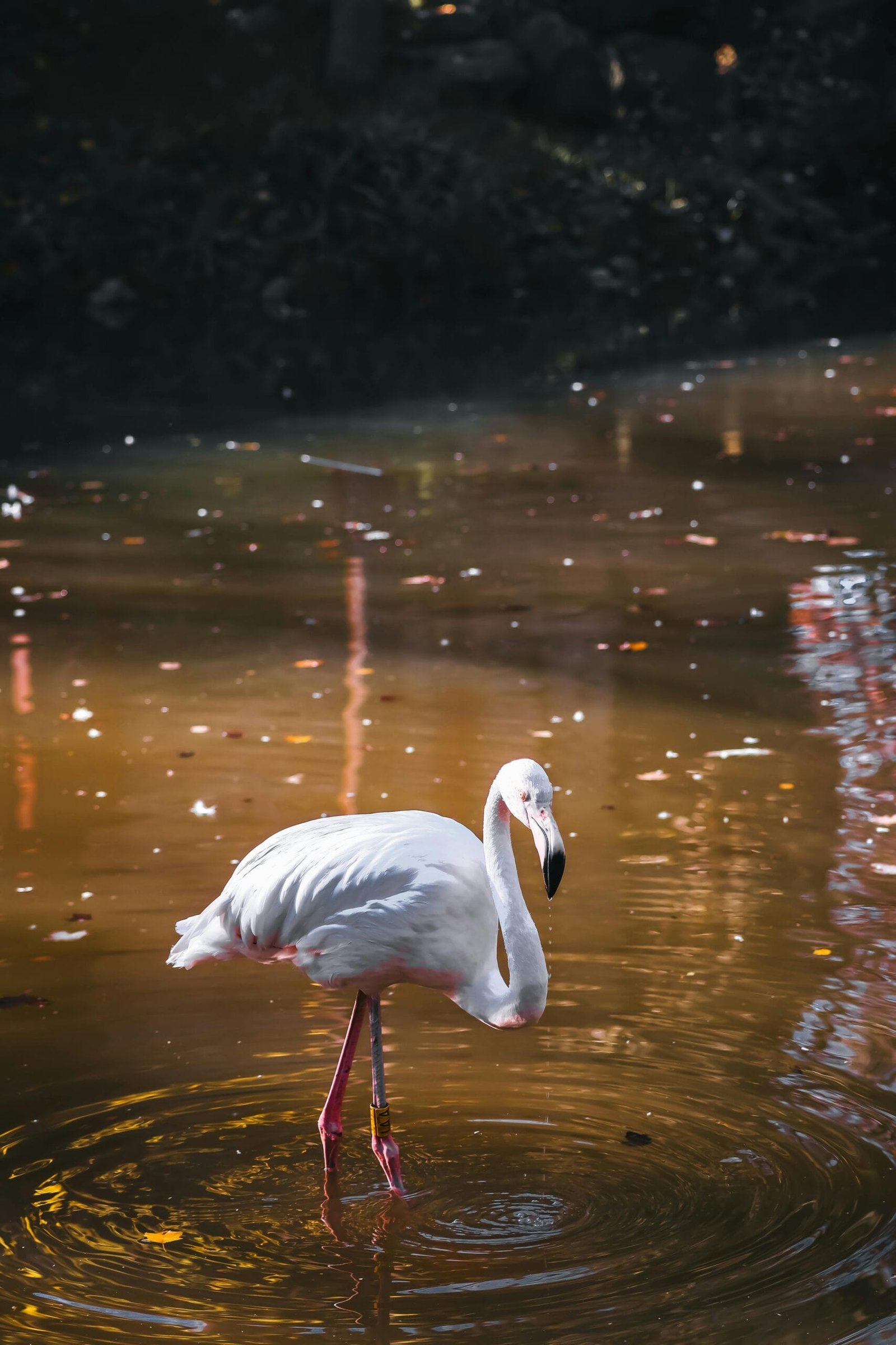 What Filtration Systems Are Safest For Well Water? What Filtration Systems Are Safest For Well Water?