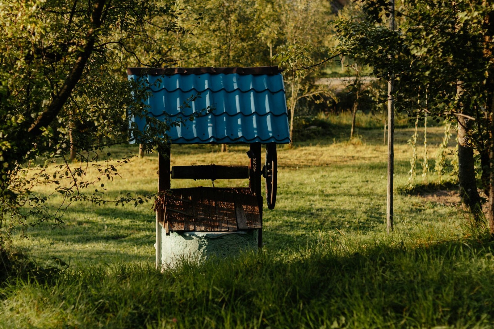 What Is The Safe Distance Between A Septic Tank And A Well?