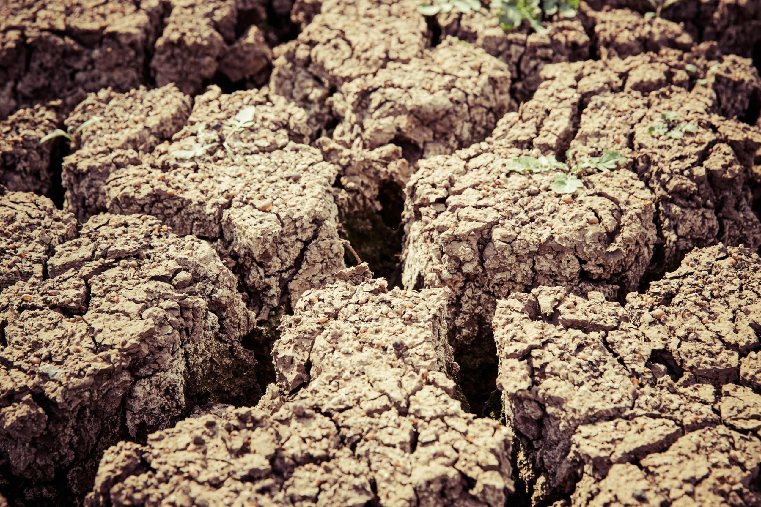What Should I Do If My Well Runs Dry? What Should I Do If My Well Runs Dry?