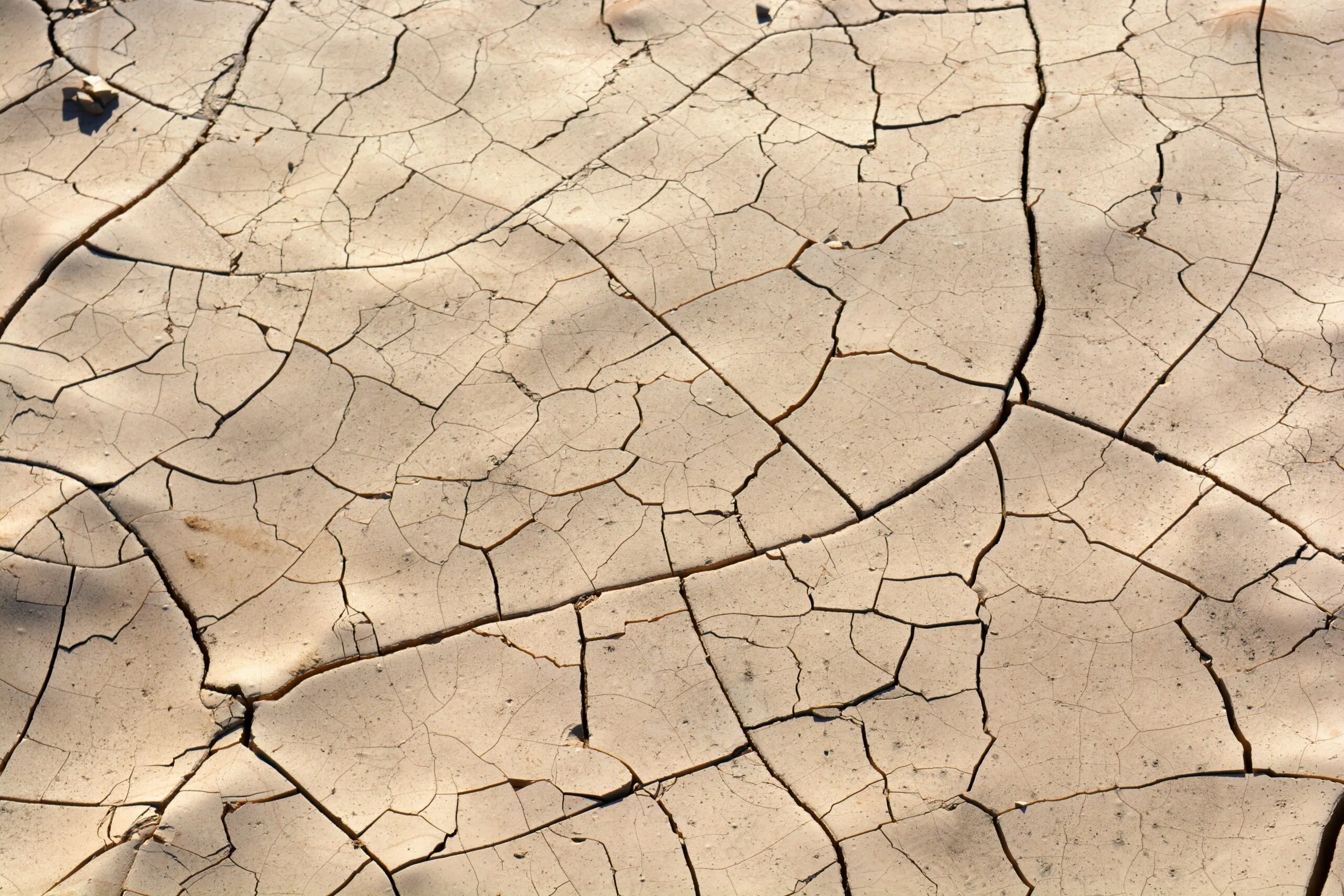 What Should I Do If My Well Runs Dry? What Should I Do If My Well Runs Dry?