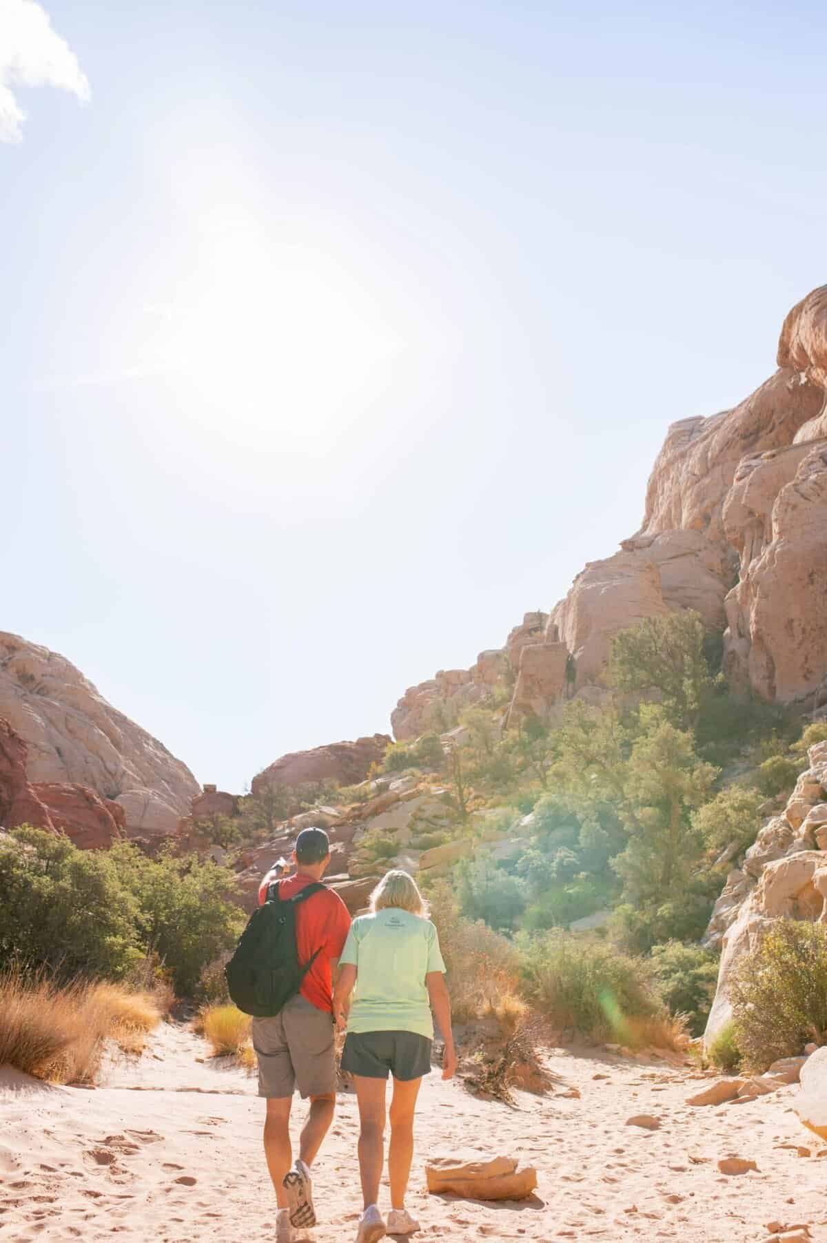 Can I Share A Water Well With My Neighbors?