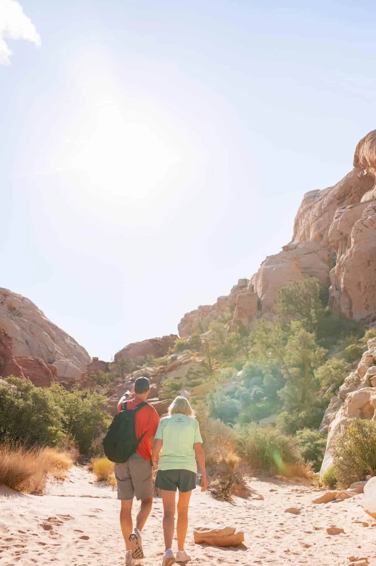 Can I Share A Water Well With My Neighbors?