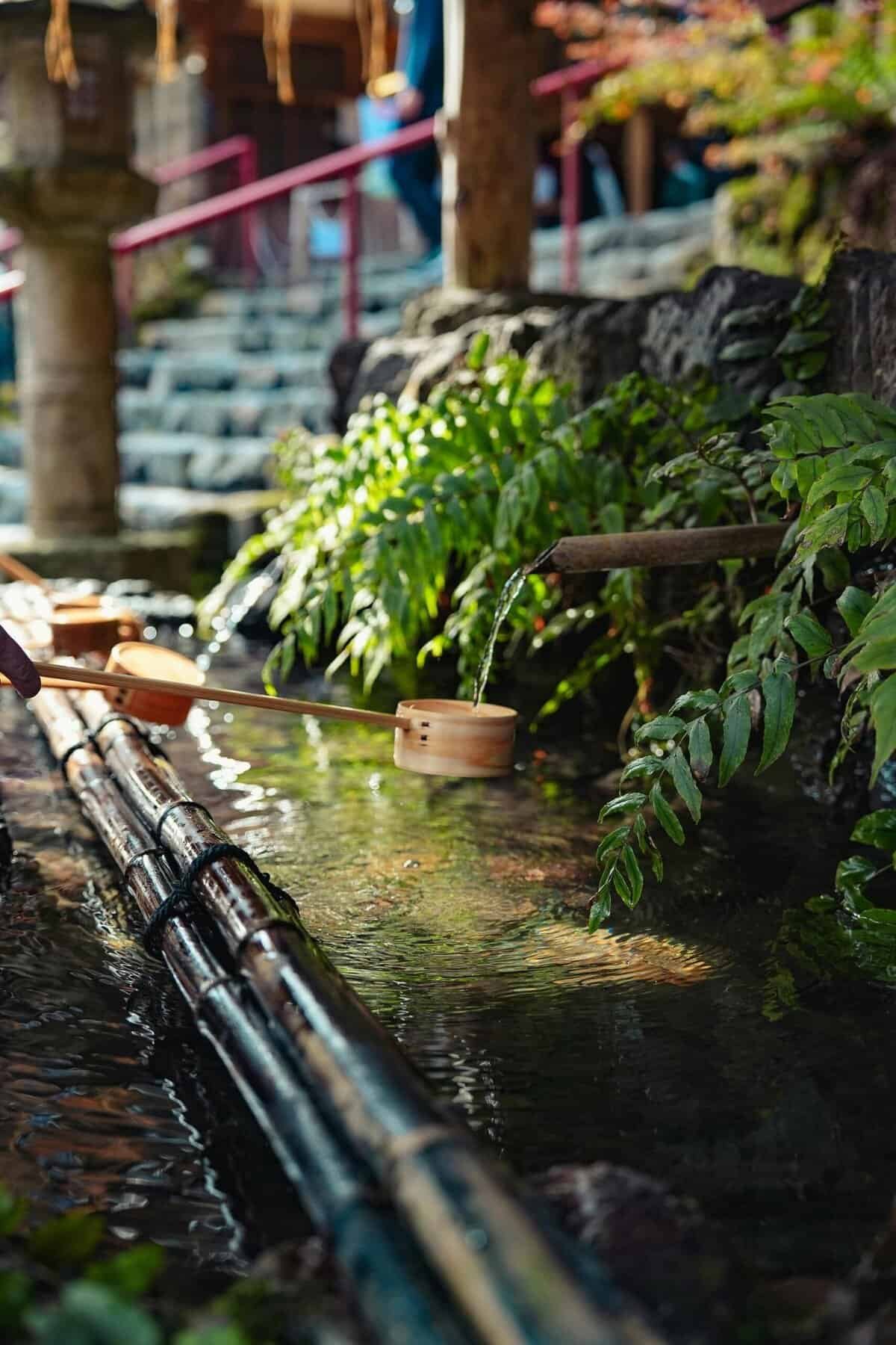 How Can I Improve The Taste Of My Well Water?